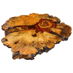 1970s California Studio Burl Wood Live Edge Slab Coffee Table, the Burl Wood Co.