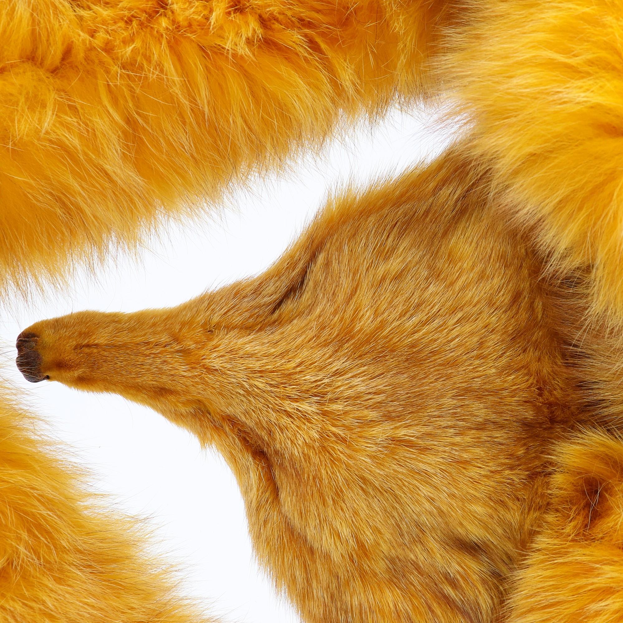 Carlo Tivioli scarf in saffron yellow real fox fur, made of two fox joined together, with tails at the ends and a muzzle. 70s vintage, Made in Italy, in perfect conditions.

Please note this item cannot be shipped outside the European Union.

Scarf