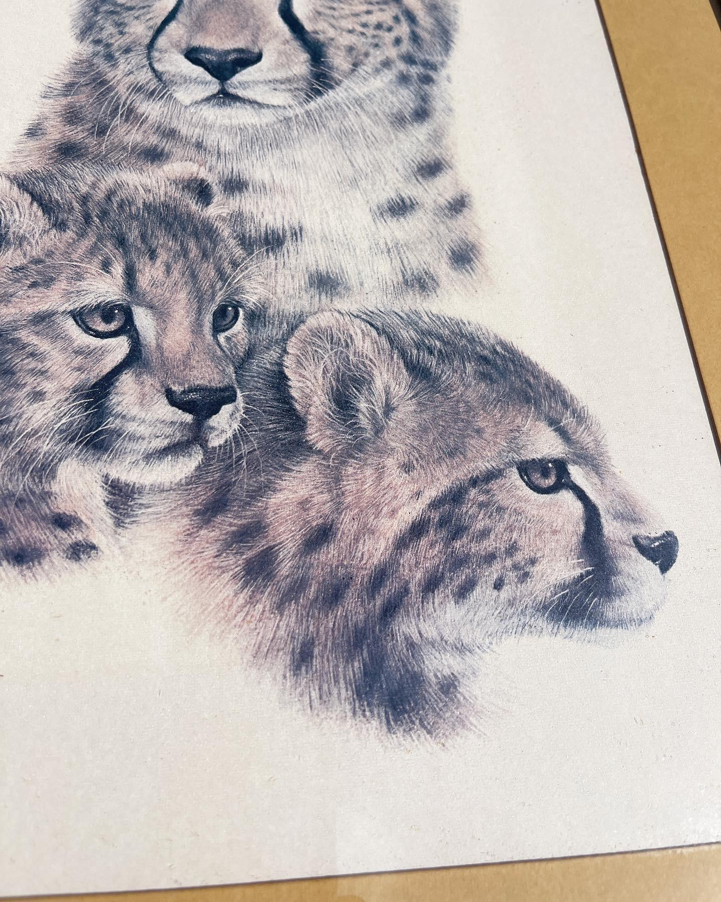 1970s Chrome Framed Portrait of Cheetahs 1