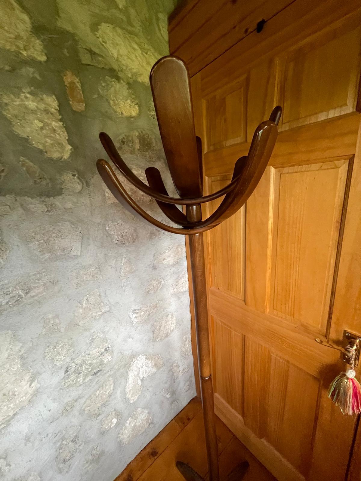 1970s Coat Rack Cactus Attributed to Mauro Pasquinelli, Italy 3