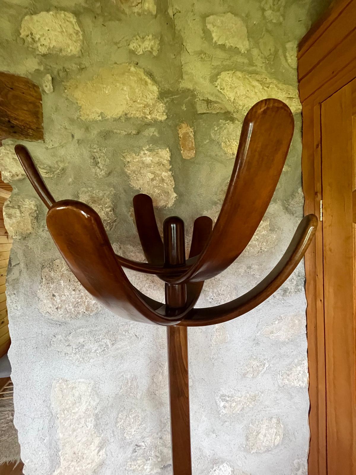 Italian 1970s Coat Rack Cactus Attributed to Mauro Pasquinelli, Italy