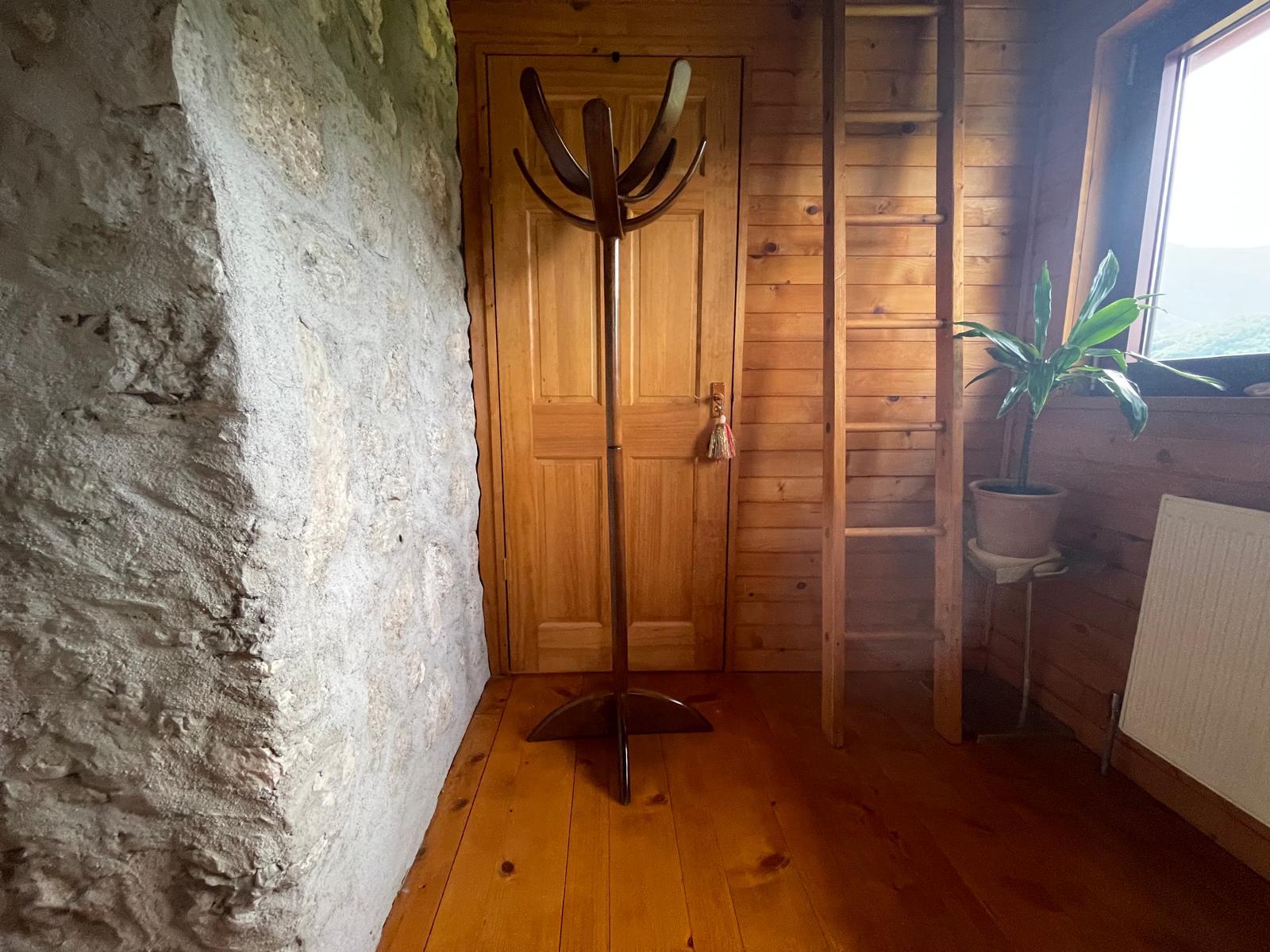 1970s Coat Rack Cactus Attributed to Mauro Pasquinelli, Italy 2