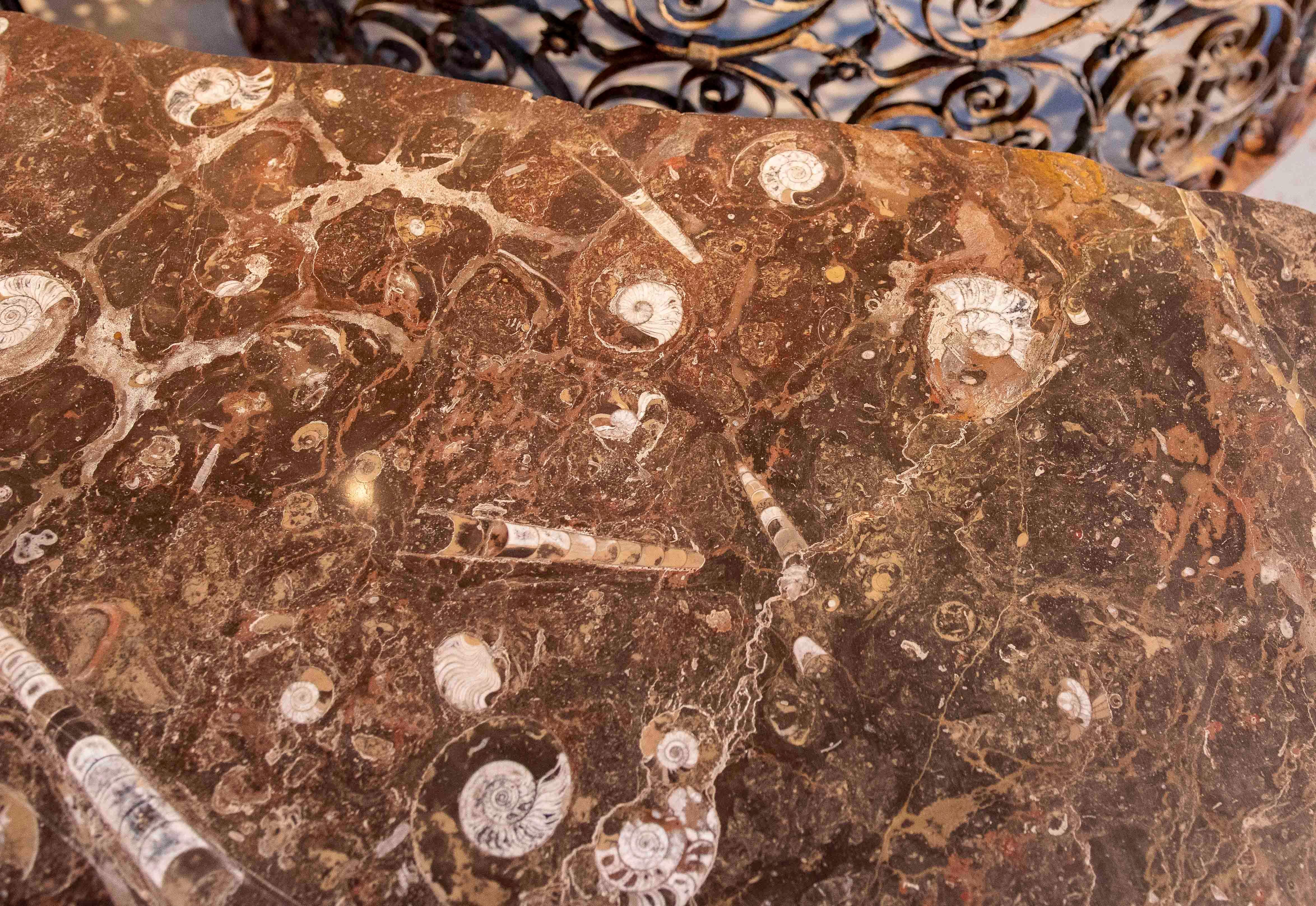 Tavolino da caffè anni '70 con piano in marmo fossile e base circolare in ferro in vendita 4