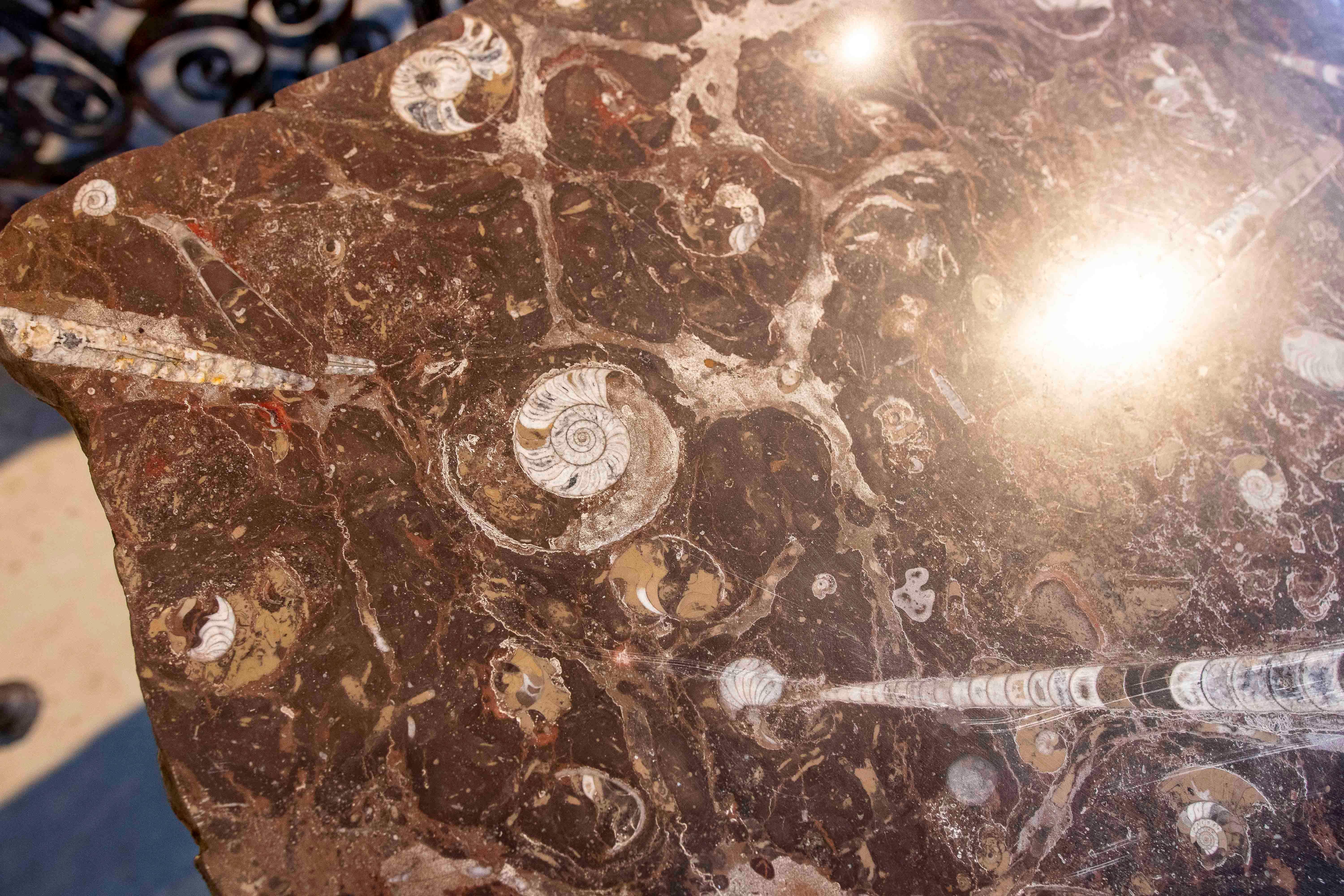 Tavolino da caffè anni '70 con piano in marmo fossile e base circolare in ferro in vendita 6