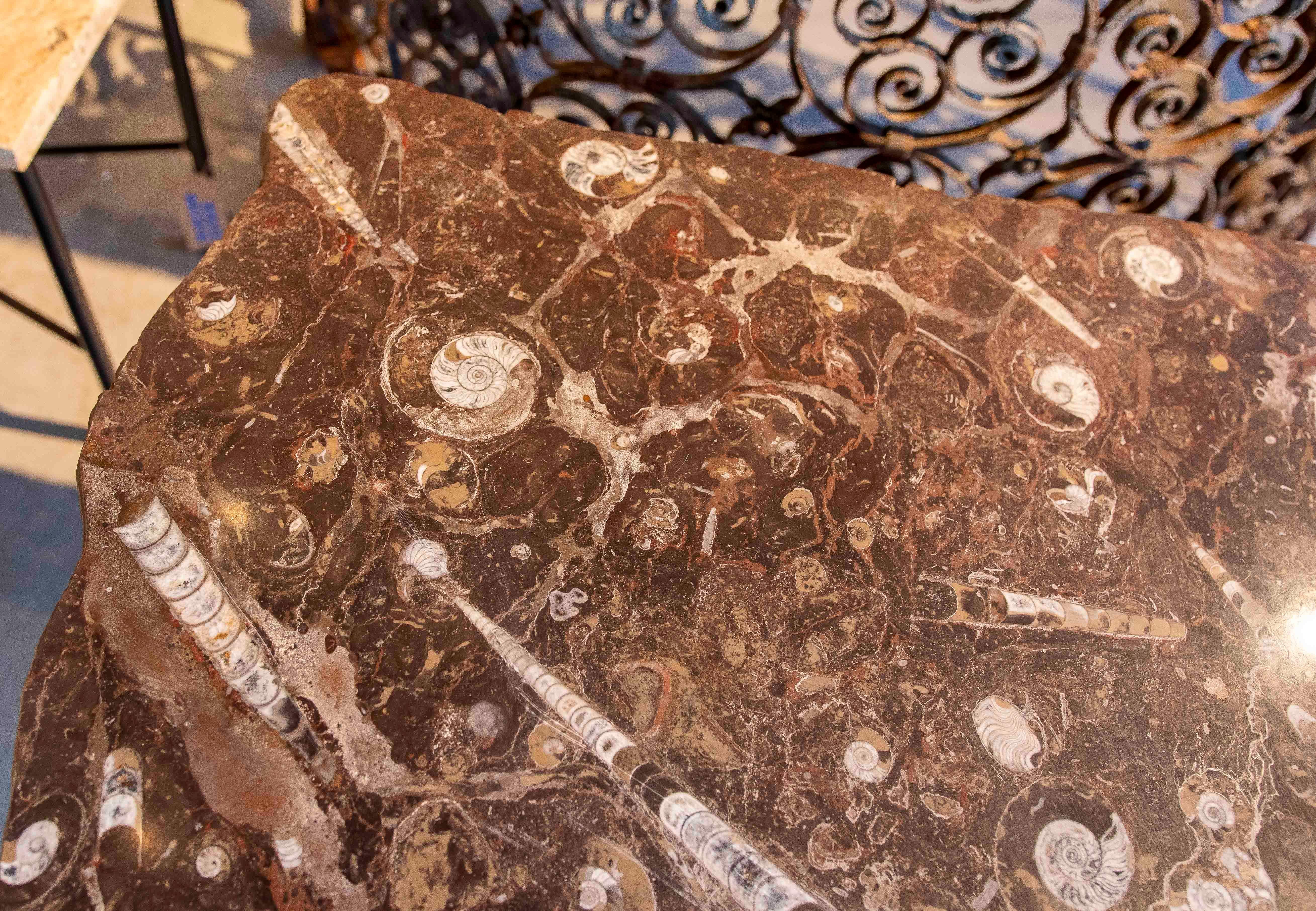 Tavolino da caffè anni '70 con piano in marmo fossile e base circolare in ferro in vendita 3