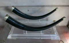 1970s Coffee Table with Methacrylate Base and Resin Horns with Metal