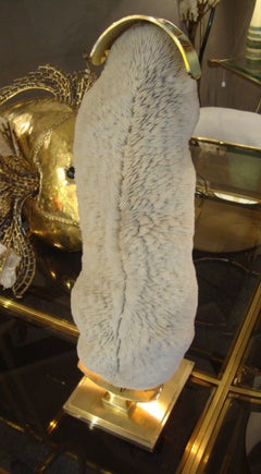 1970s Coral Lamp by Willy Daro