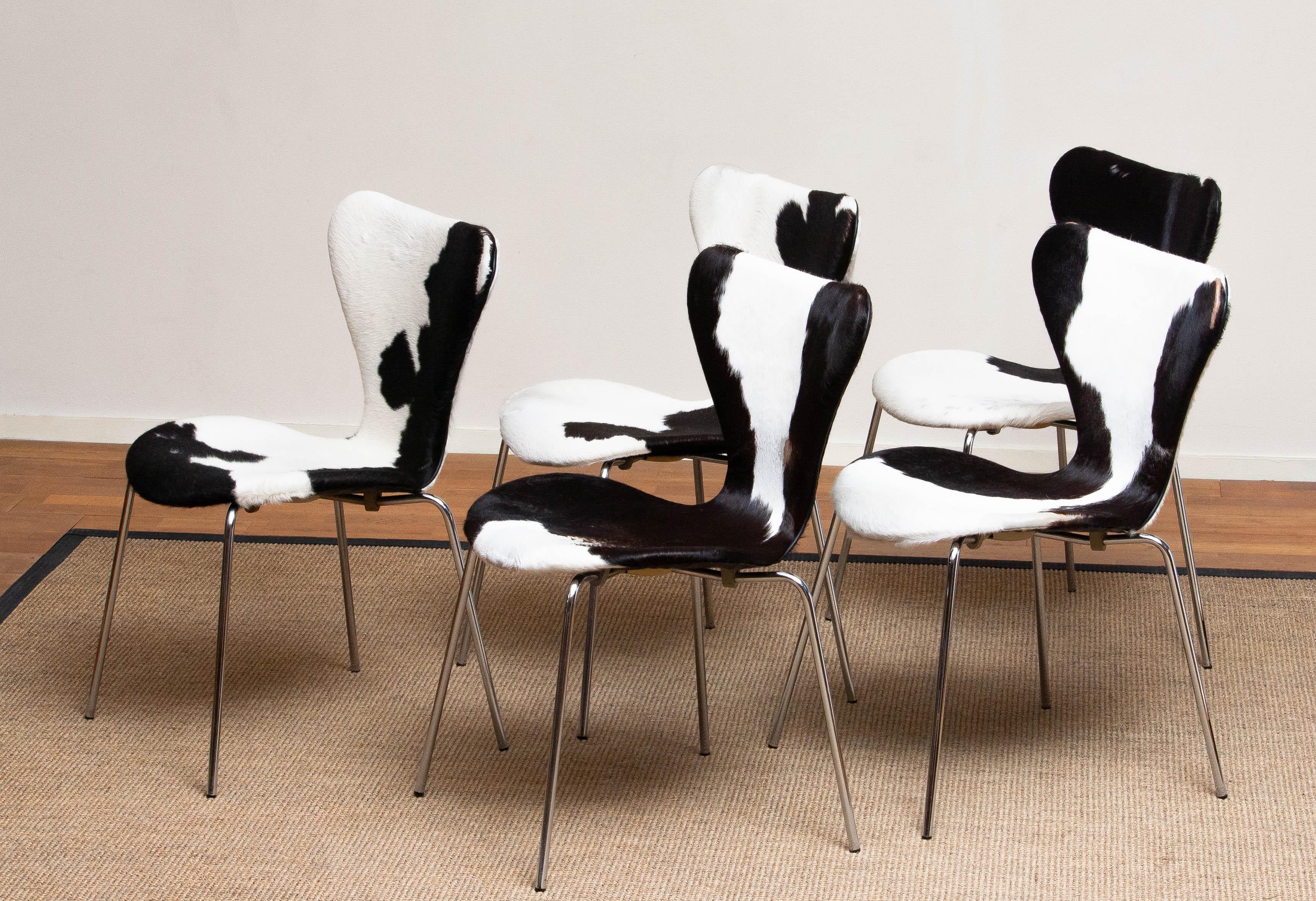 Extremely beautiful set of five dining chairs (Model 3107) by Arne Jacobsen and Fritz Hansen.
These chairs have a cowhide fur seating and backrest on a chrome frame.
They are in a very nice and original condition.
Period 1970s.

 
