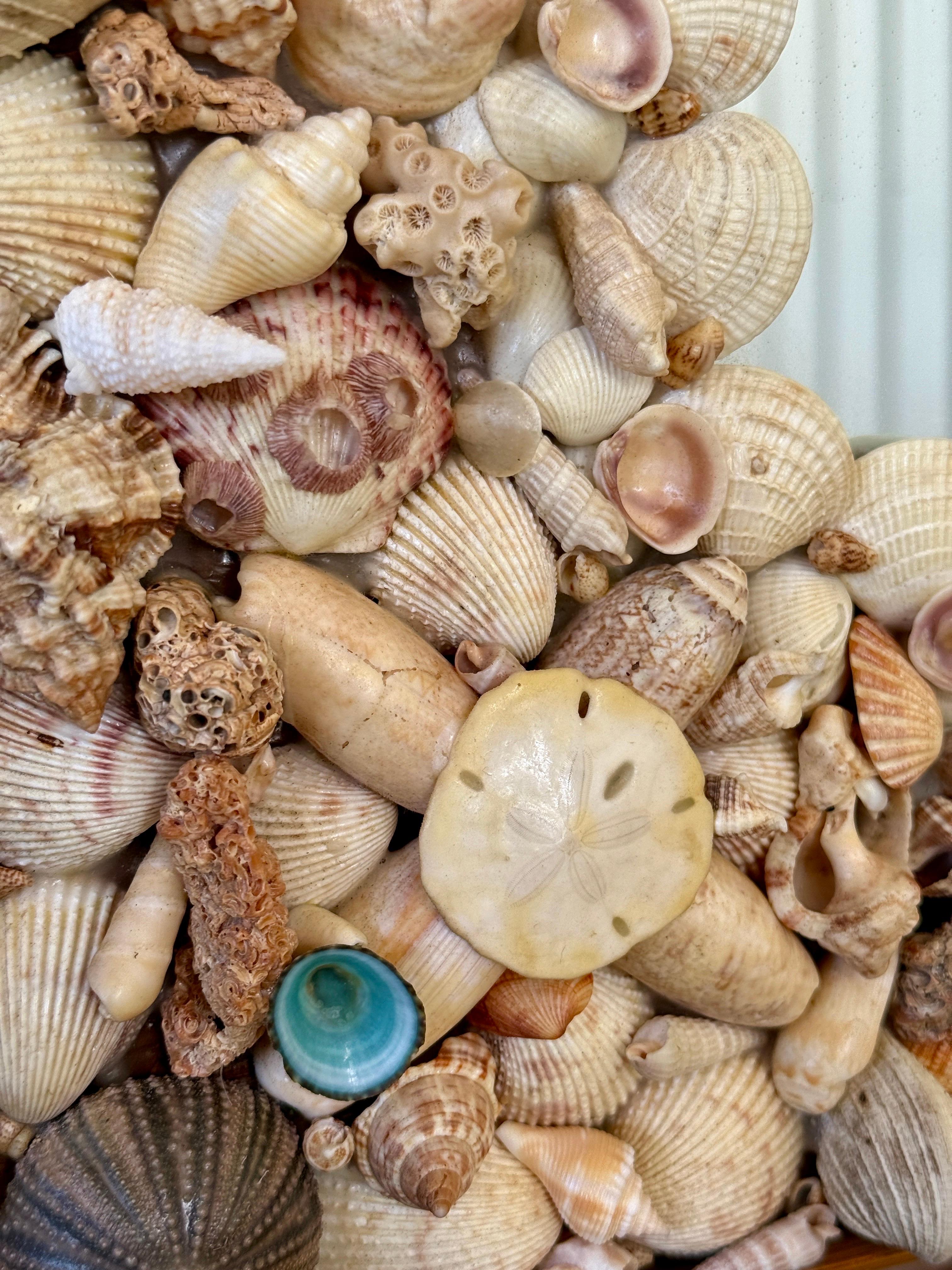 Miroir en coquillage de mer côtier organique des années 1970 avec garniture en rotin finie en vente 2