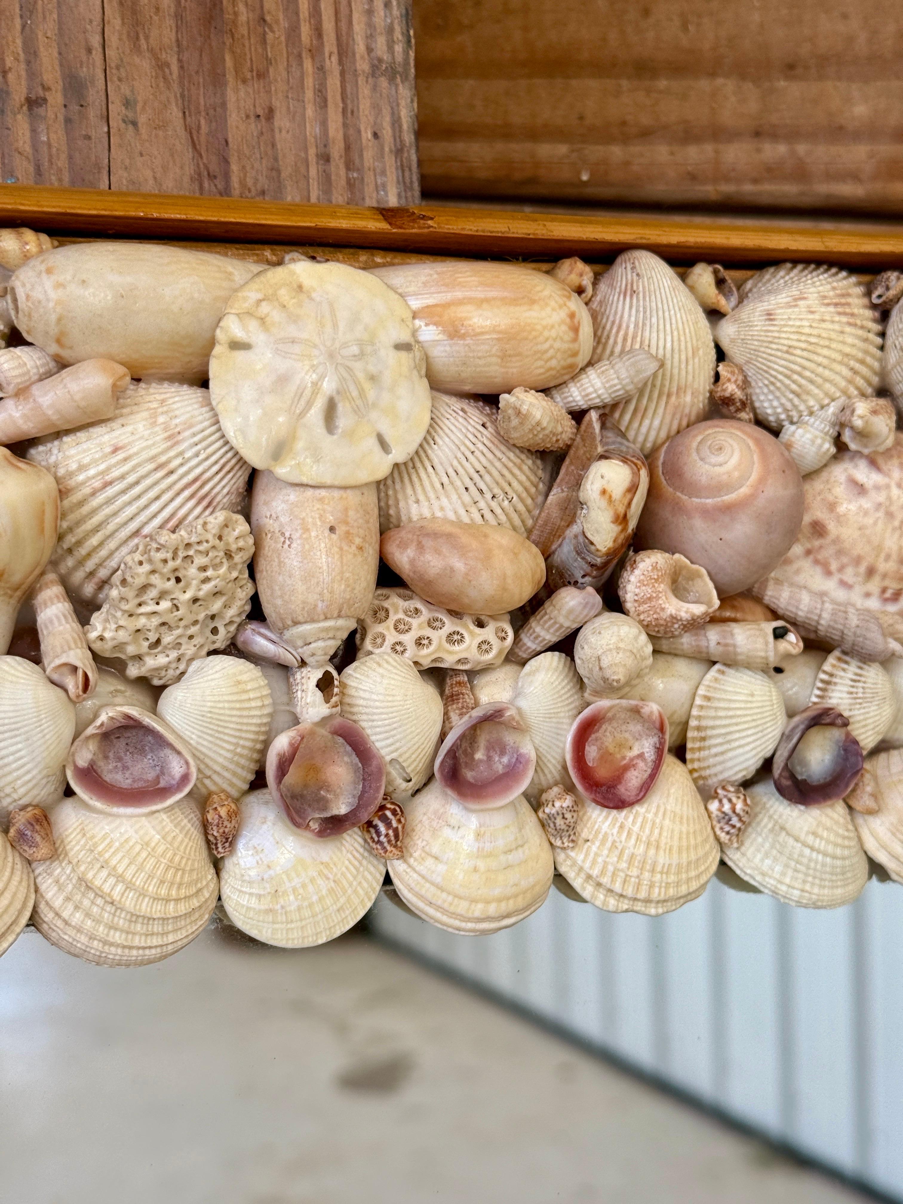 Miroir en coquillage de mer côtier organique des années 1970 avec garniture en rotin finie en vente 4
