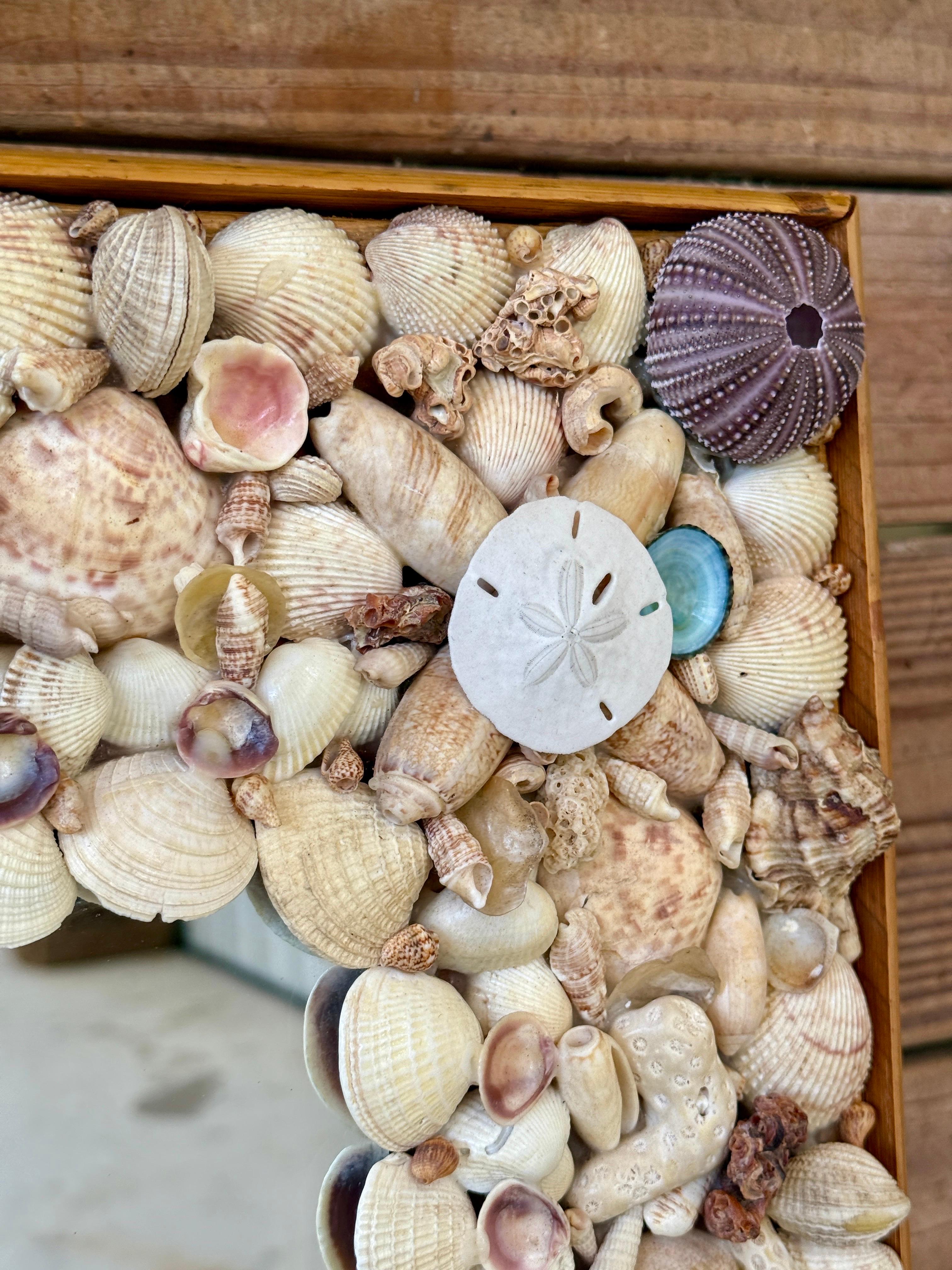 Miroir en coquillage de mer côtier organique des années 1970 avec garniture en rotin finie en vente 7