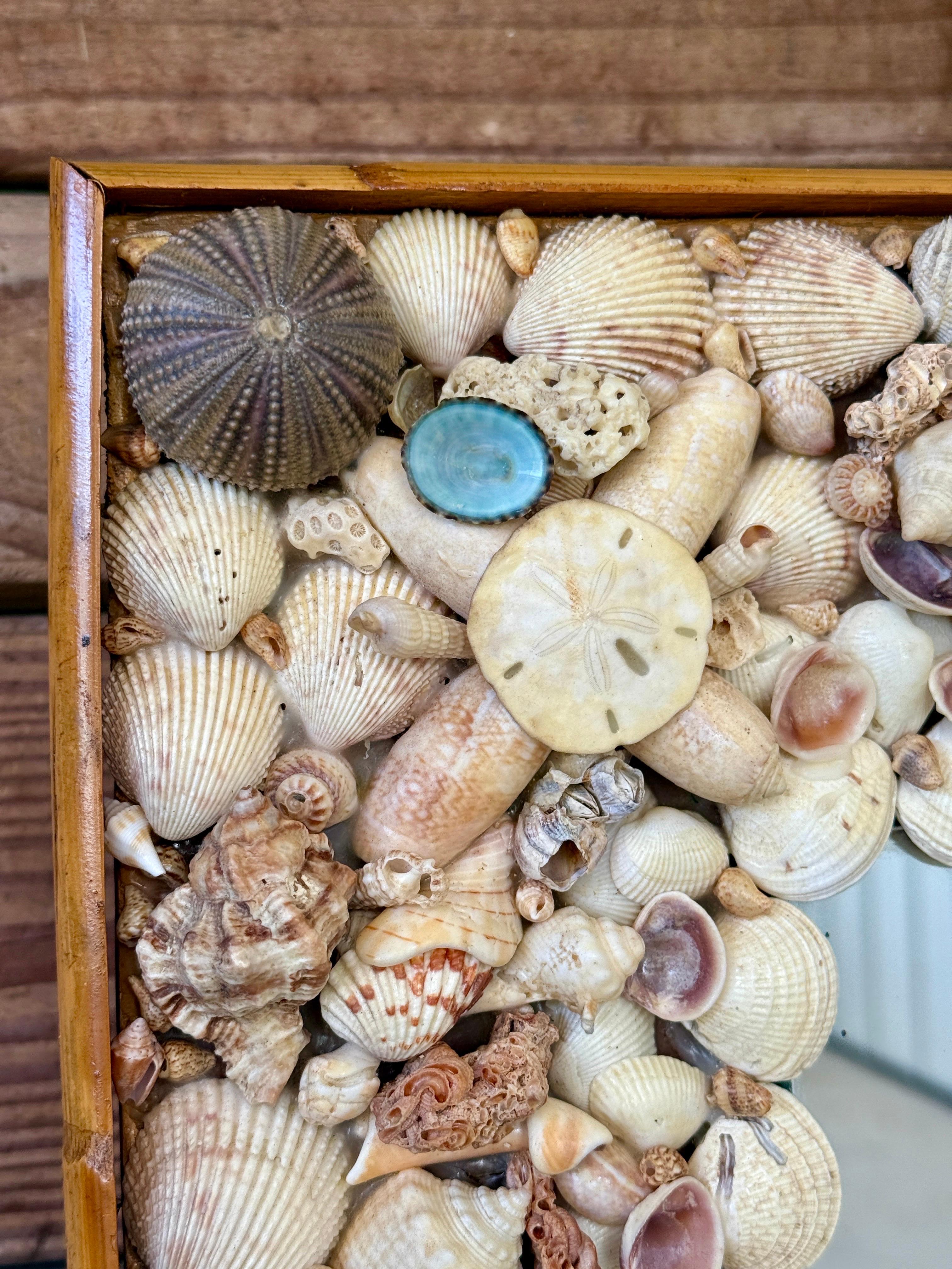 Organique Miroir en coquillage de mer côtier organique des années 1970 avec garniture en rotin finie en vente
