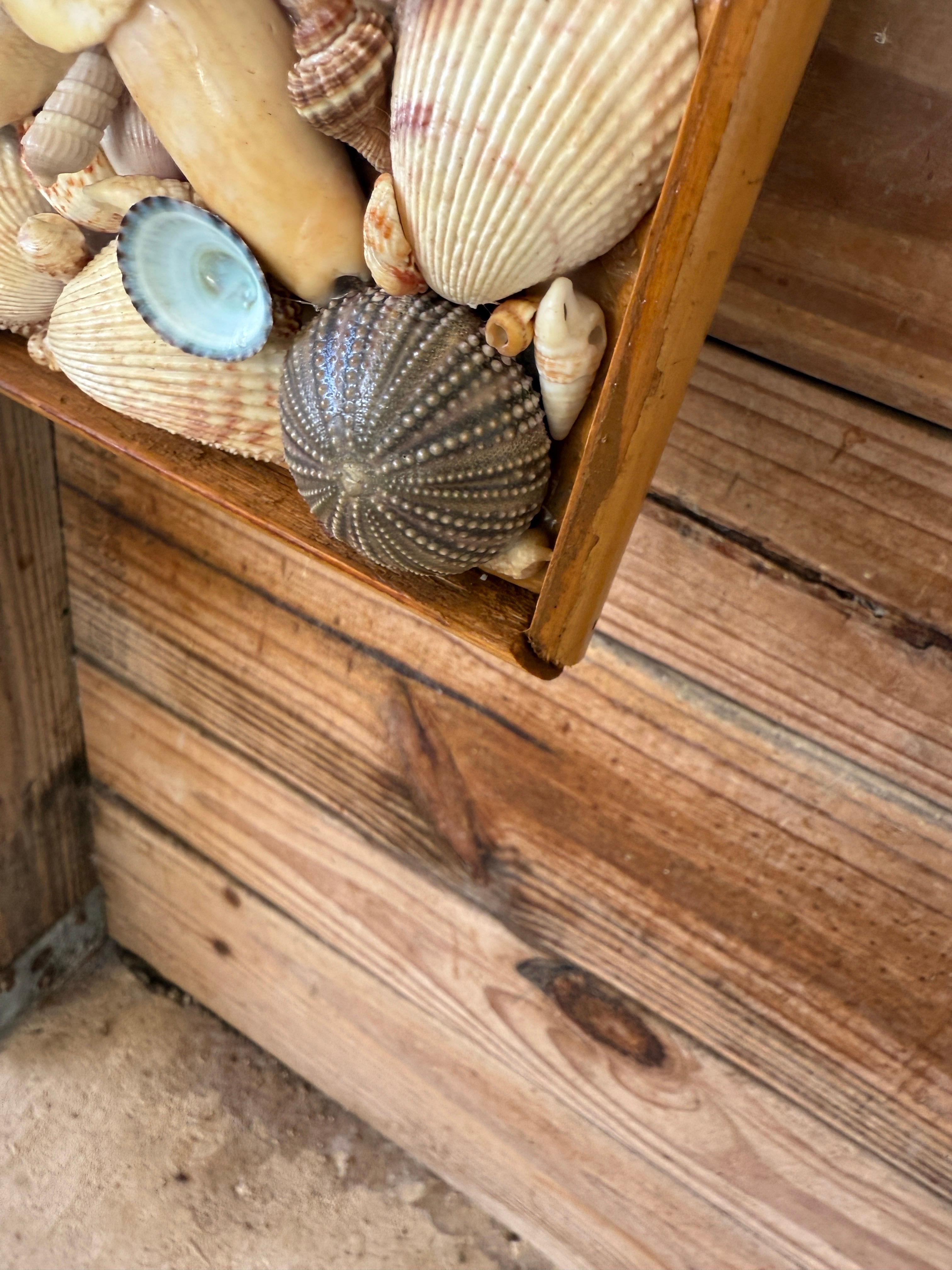 Fin du 20e siècle Miroir en coquillage de mer côtier organique des années 1970 avec garniture en rotin finie en vente