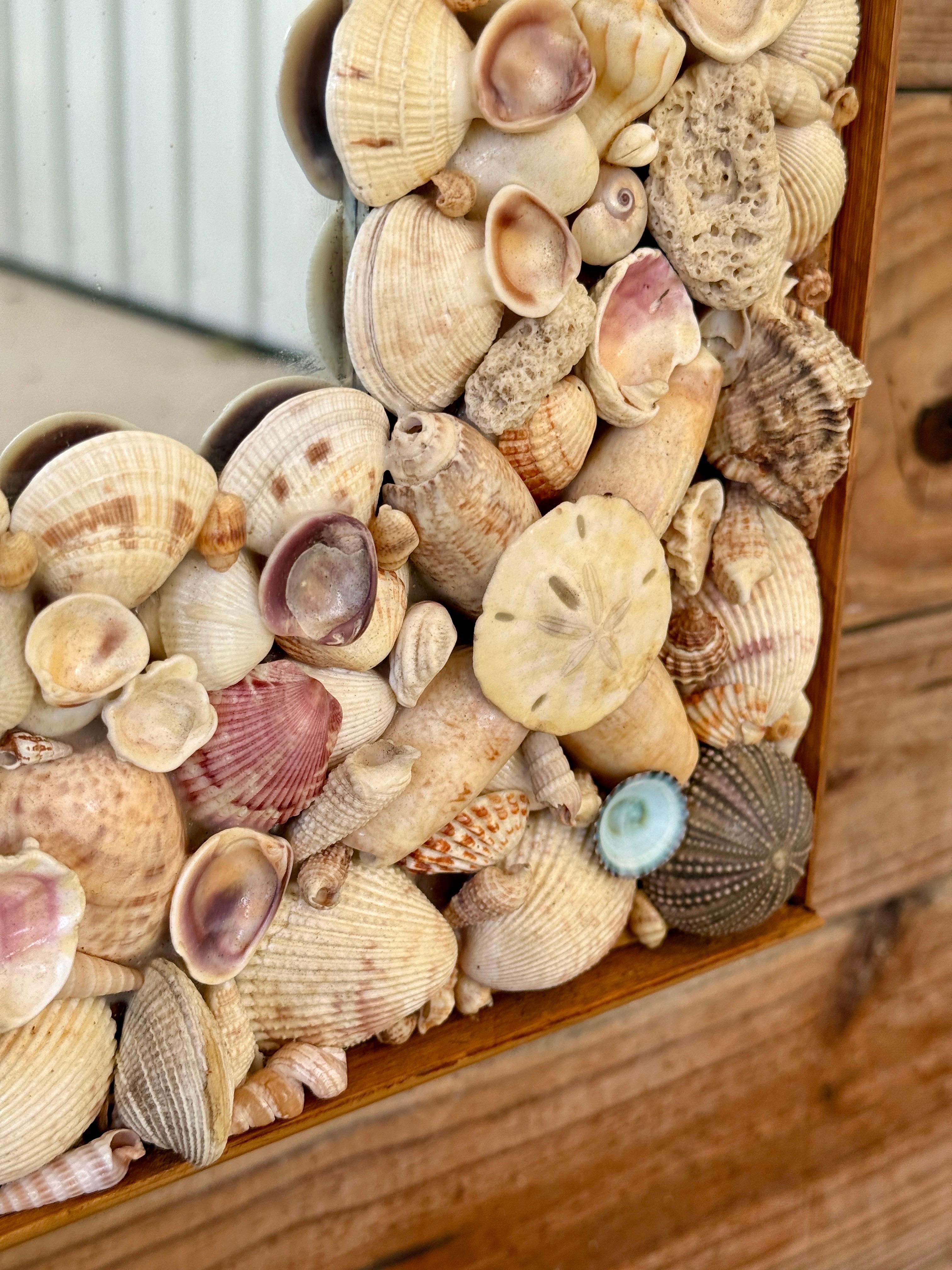 Miroir en coquillage de mer côtier organique des années 1970 avec garniture en rotin finie en vente 1