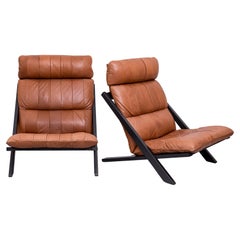 Vintage 1970s De Sede Armchairs Designed by Ueli Berger