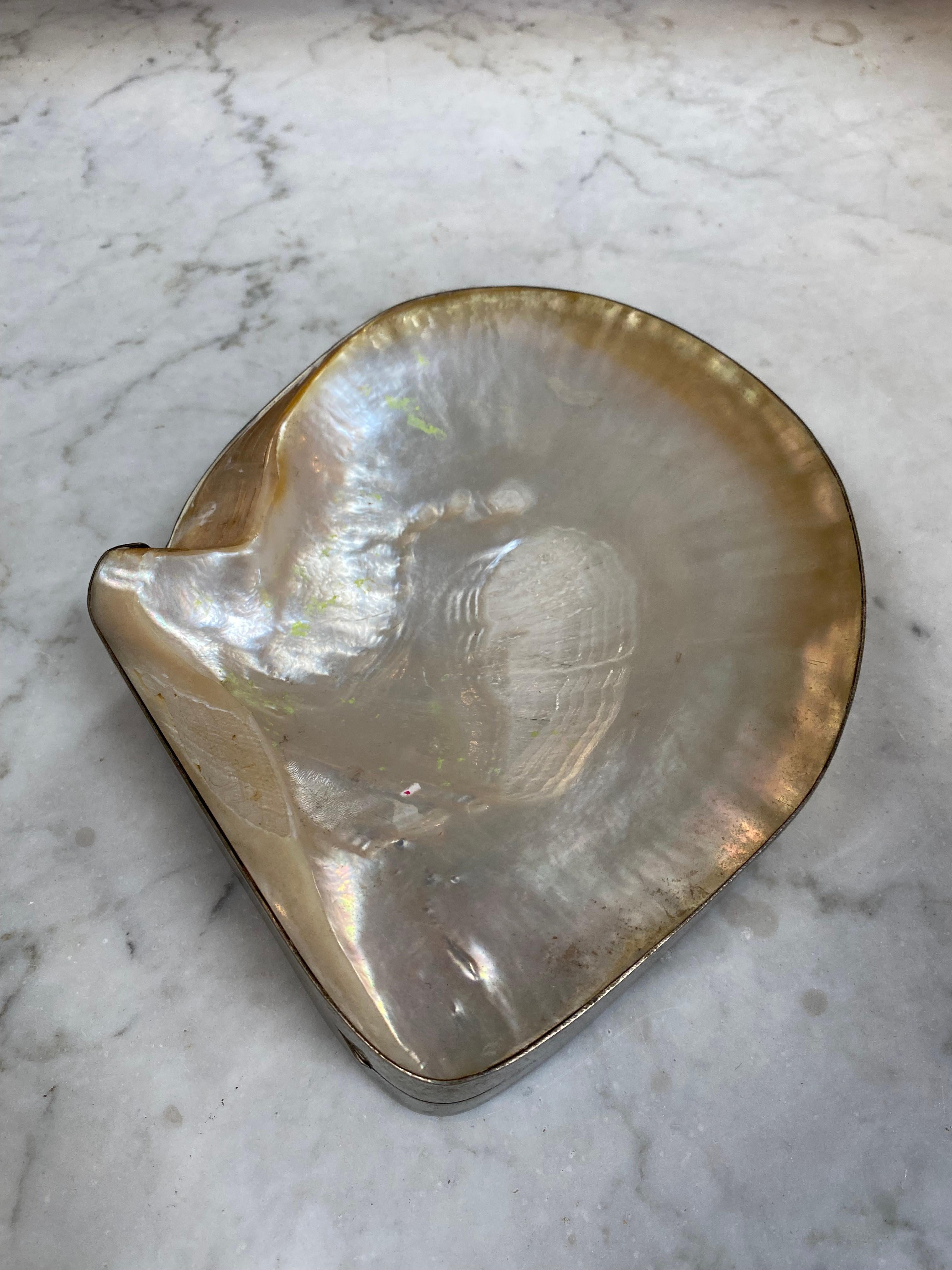 Italian 1970s Decorative Shell Box