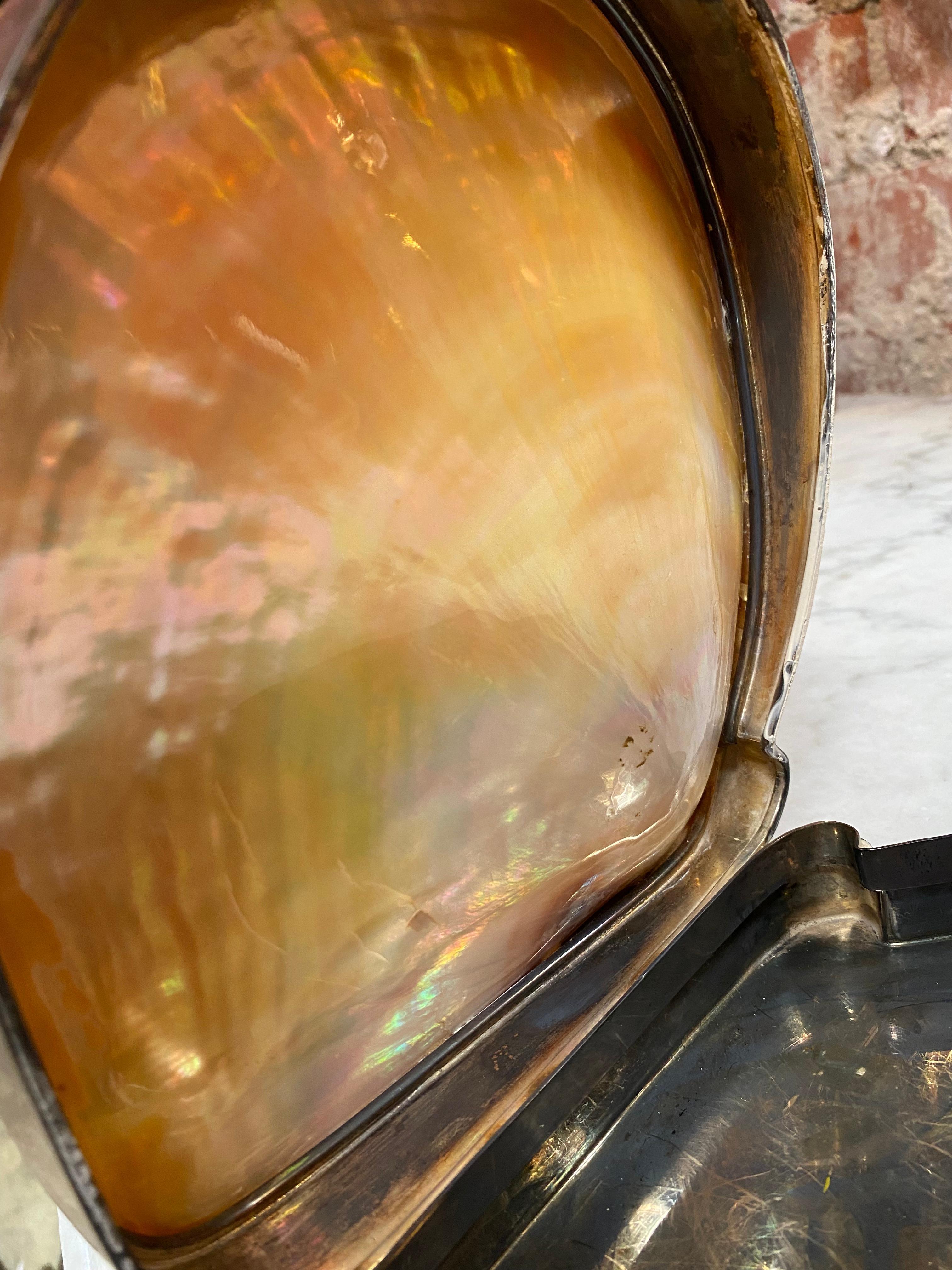 Late 20th Century 1970s Decorative Shell Box