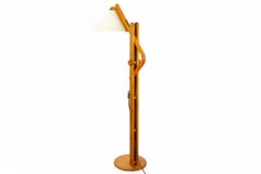 1970s Domus Floor Lamp in Teak