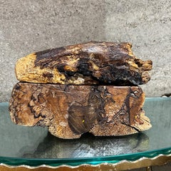 1970er Don Shoemaker für Señal Geschnitzte Wurzelholzkiste Mexiko