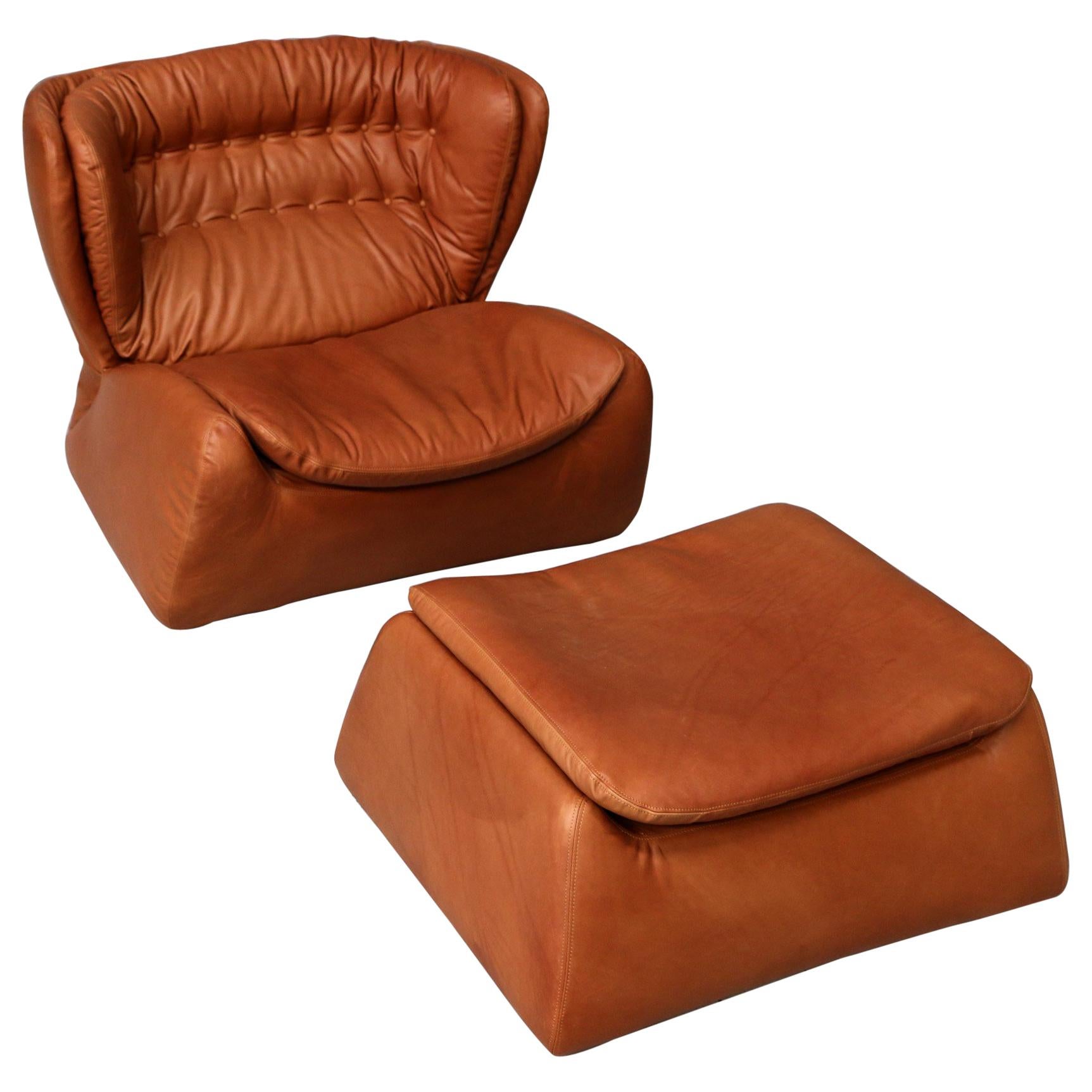 1970s Durlet Pasha Armchair and Footstool Designed by Heinz Waldmann & A.Schmidt For Sale