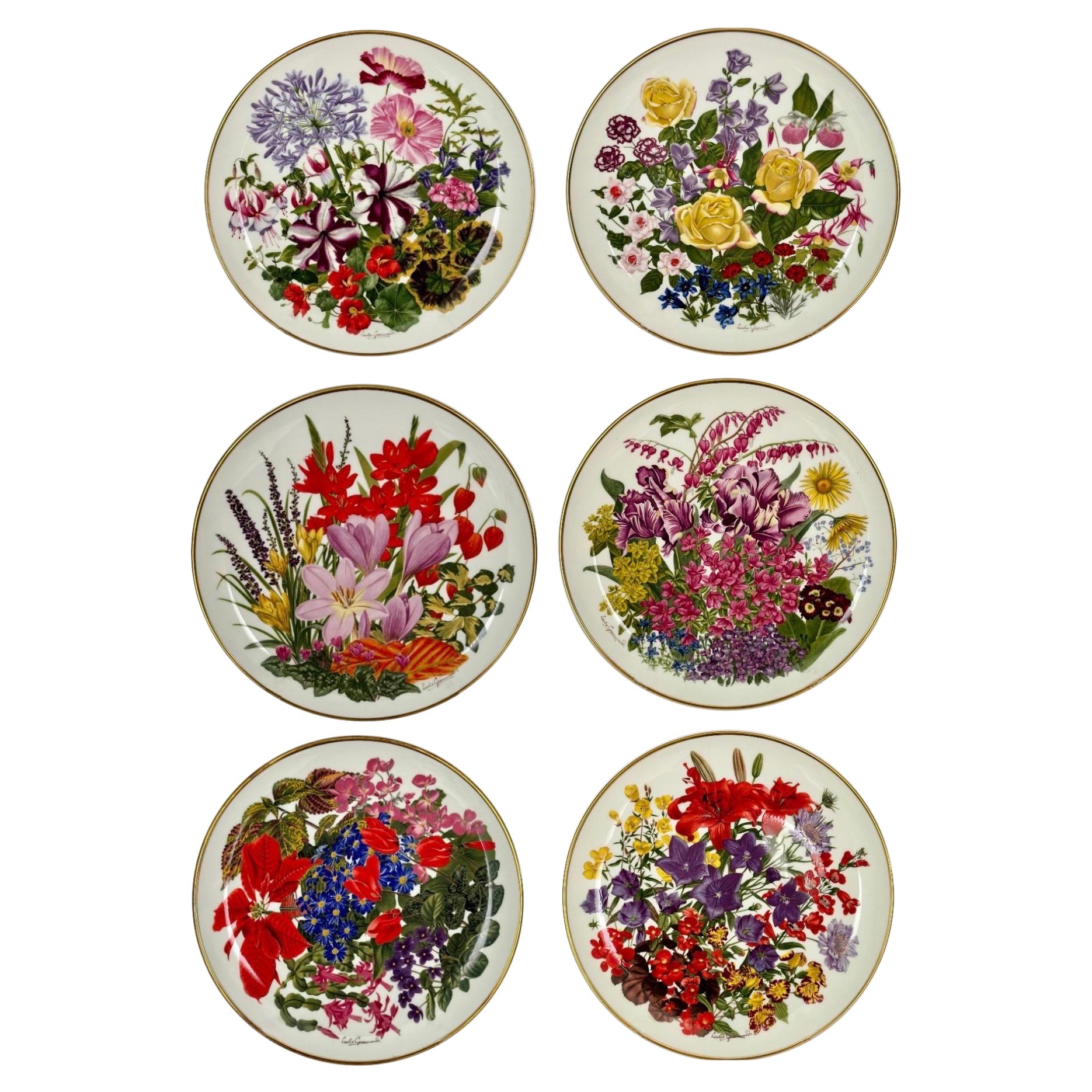1970s England Wedgewood Porcelain Flower Plates – Set of 6