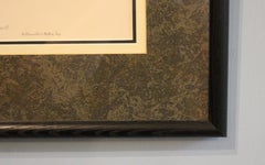 Reproduction anglaise des années 1970 de la lithographie de Gould représentant le Pomatorhinus à couronne marron