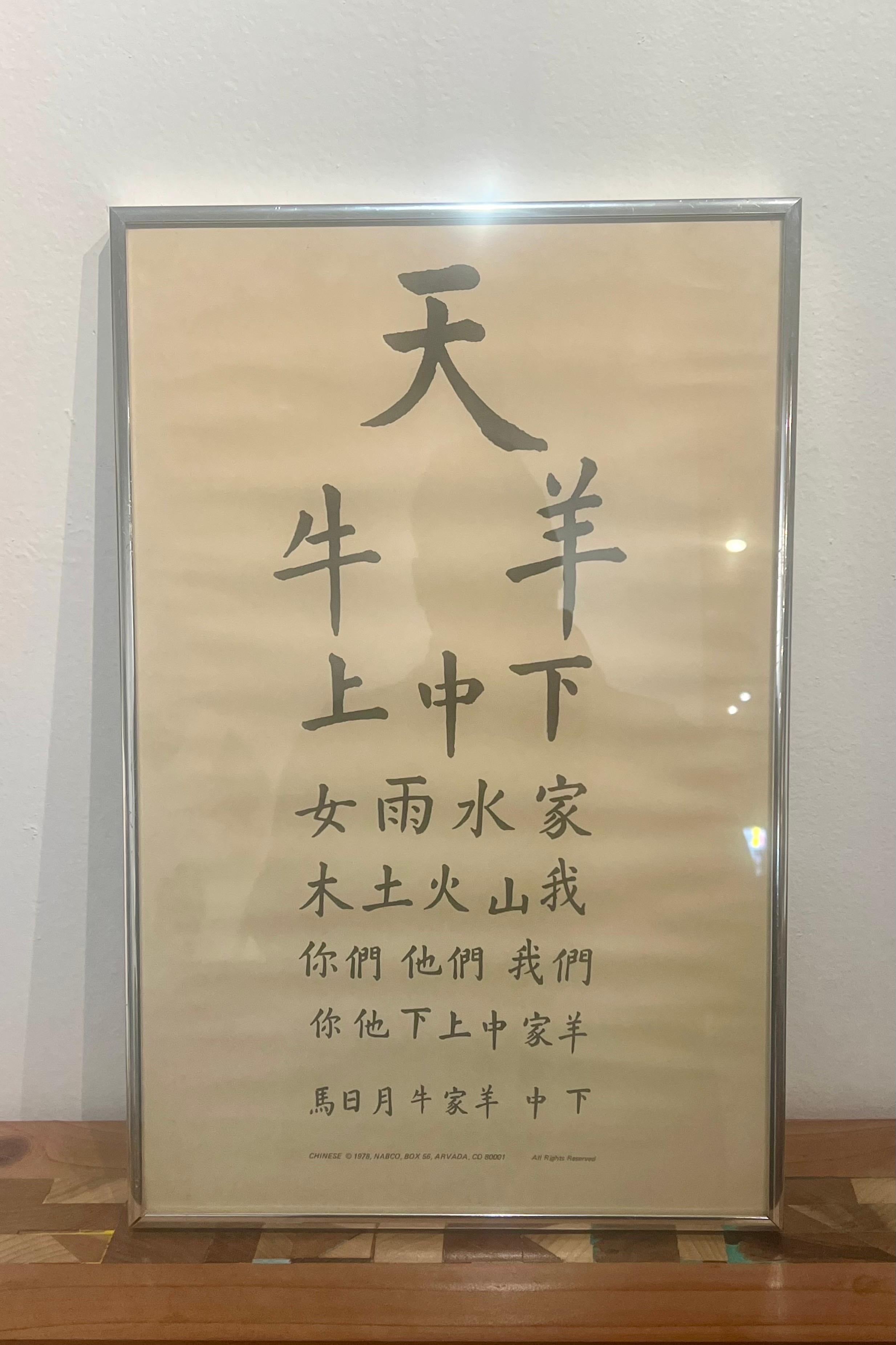Américain 1970's  Tableau chinois des ophtalmologistes encadré en vente