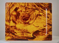 1970s Faux Tortoiseshell Lucite Tray in Rectangular Shape