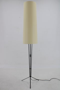 1970s Floor Lamp by Pokrok Zilina , Czechoslovakia