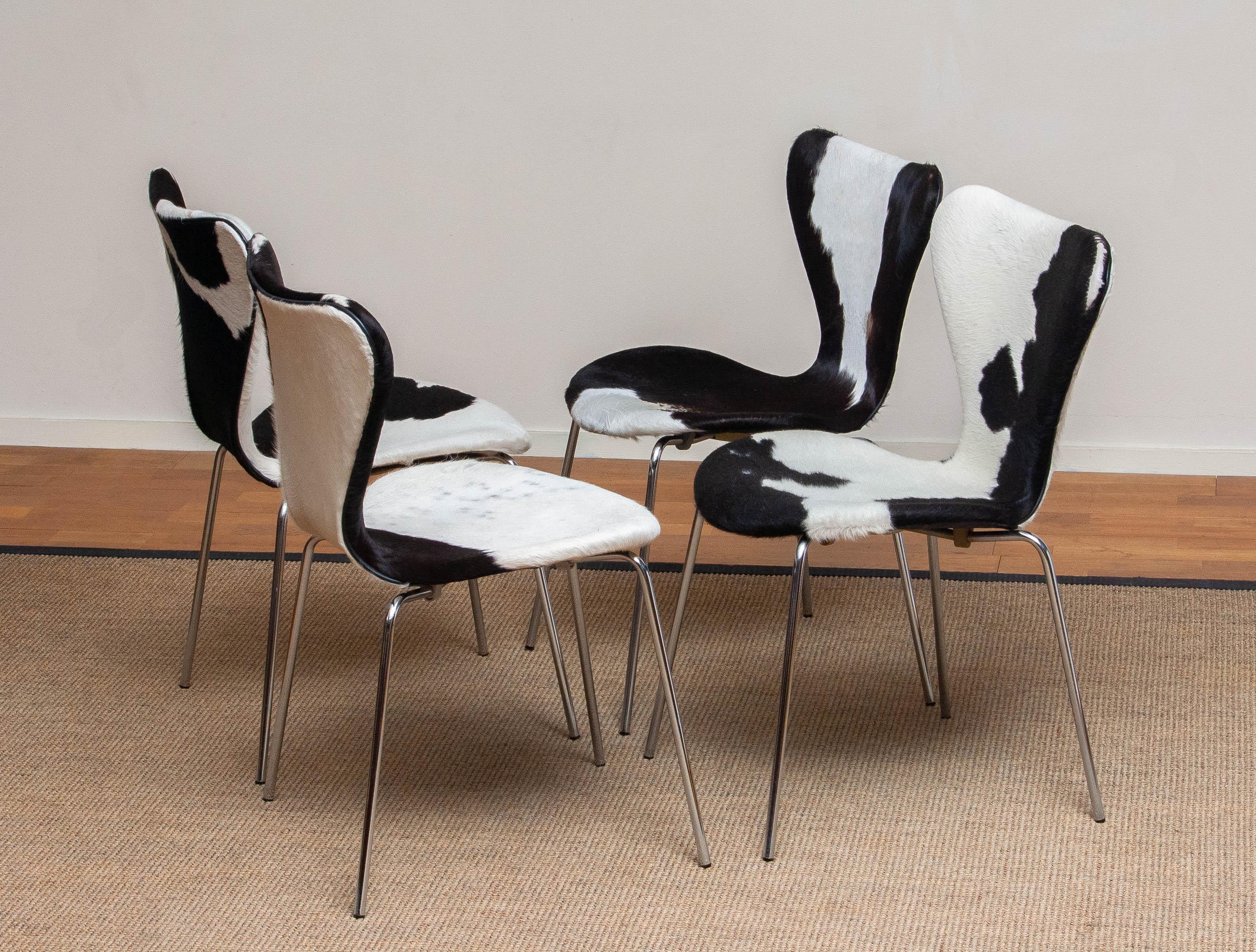 1970s, Four Cowhide Fur Dining Chairs by Arne Jacobsen & Fritz Hansen Model 3107 5