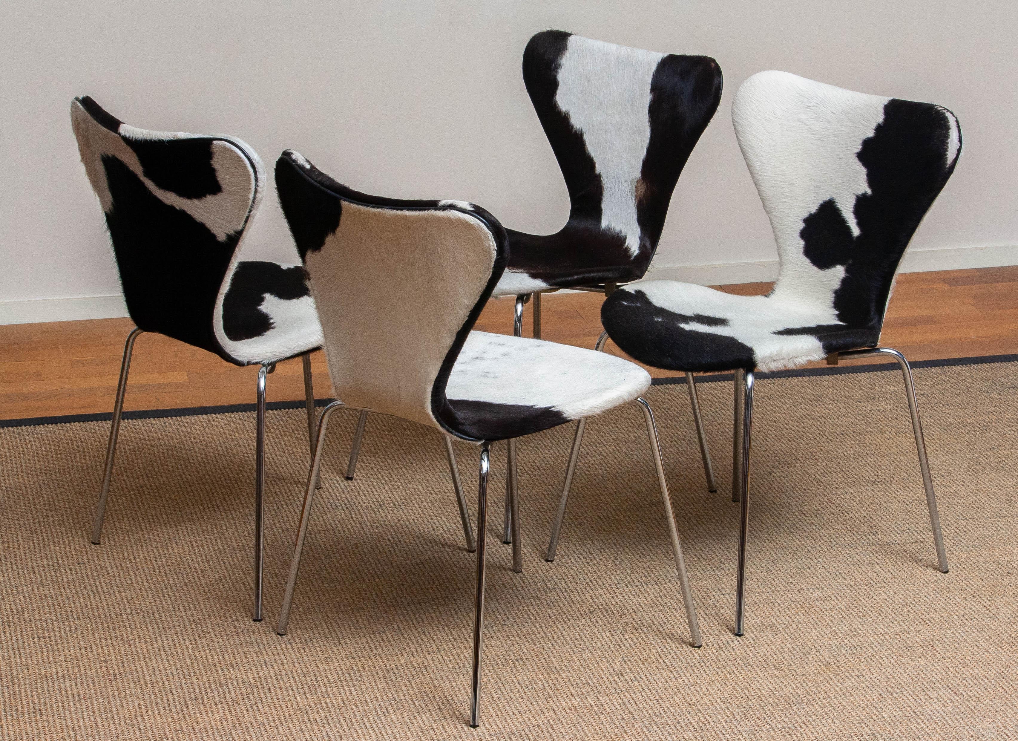 1970s, Four Cowhide Fur Dining Chairs by Arne Jacobsen & Fritz Hansen Model 3107 6