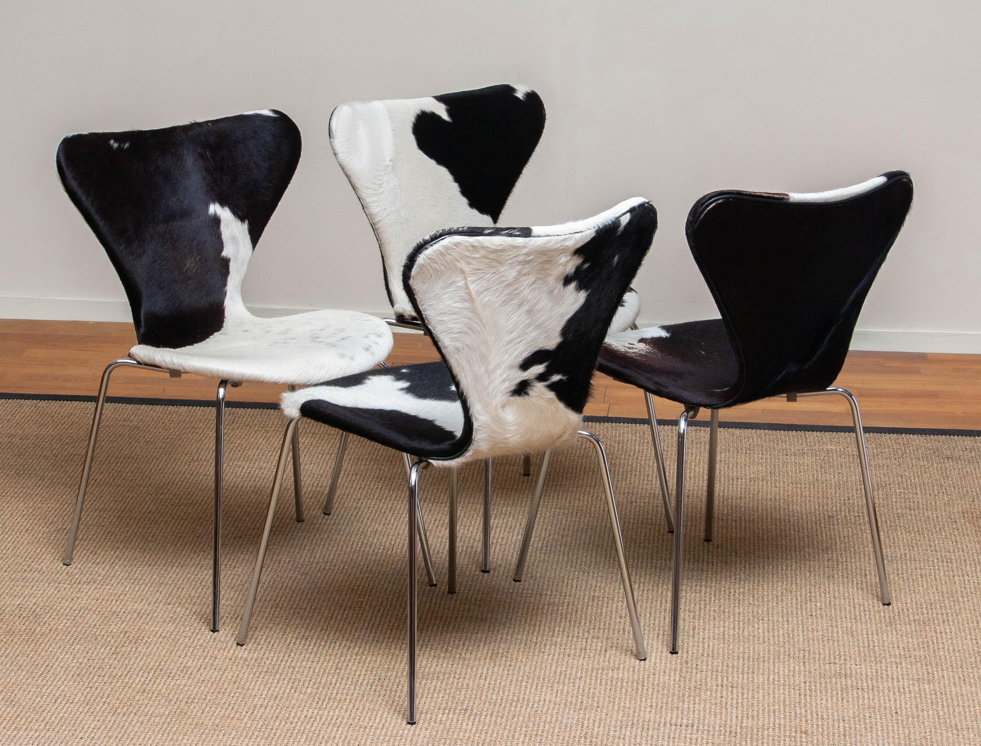 1970s, Four Cowhide Fur Dining Chairs by Arne Jacobsen & Fritz Hansen Model 3107 8