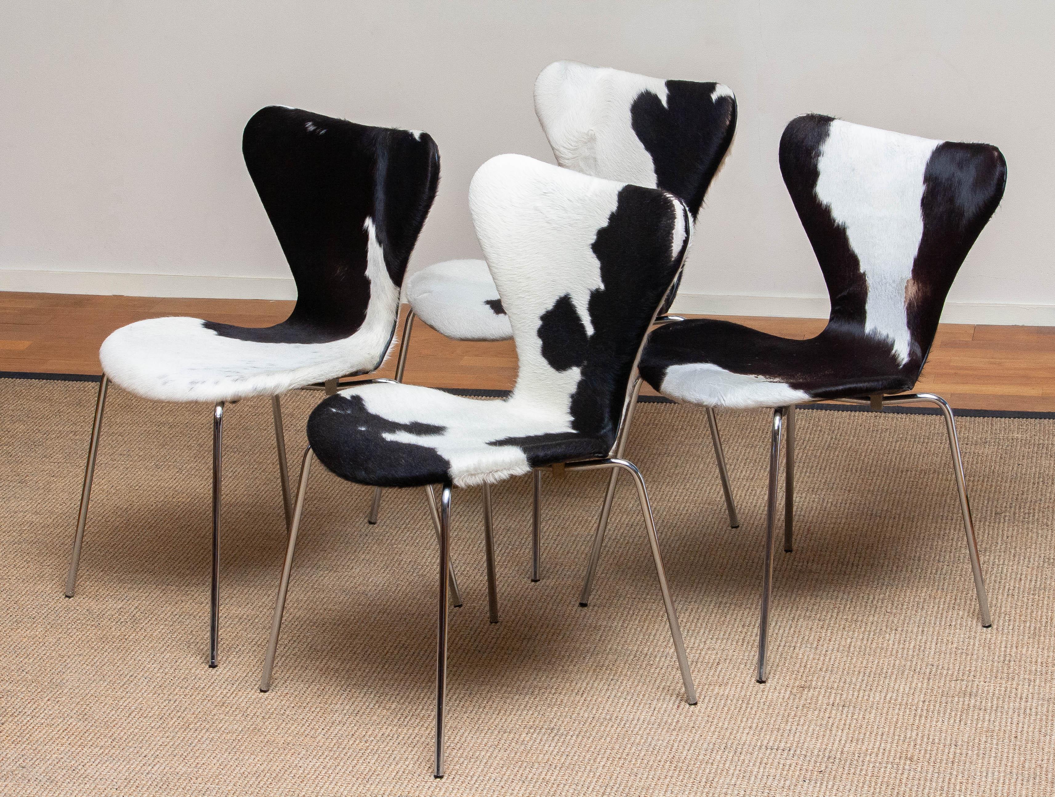 1970s, Four Cowhide Fur Dining Chairs by Arne Jacobsen & Fritz Hansen Model 3107 6