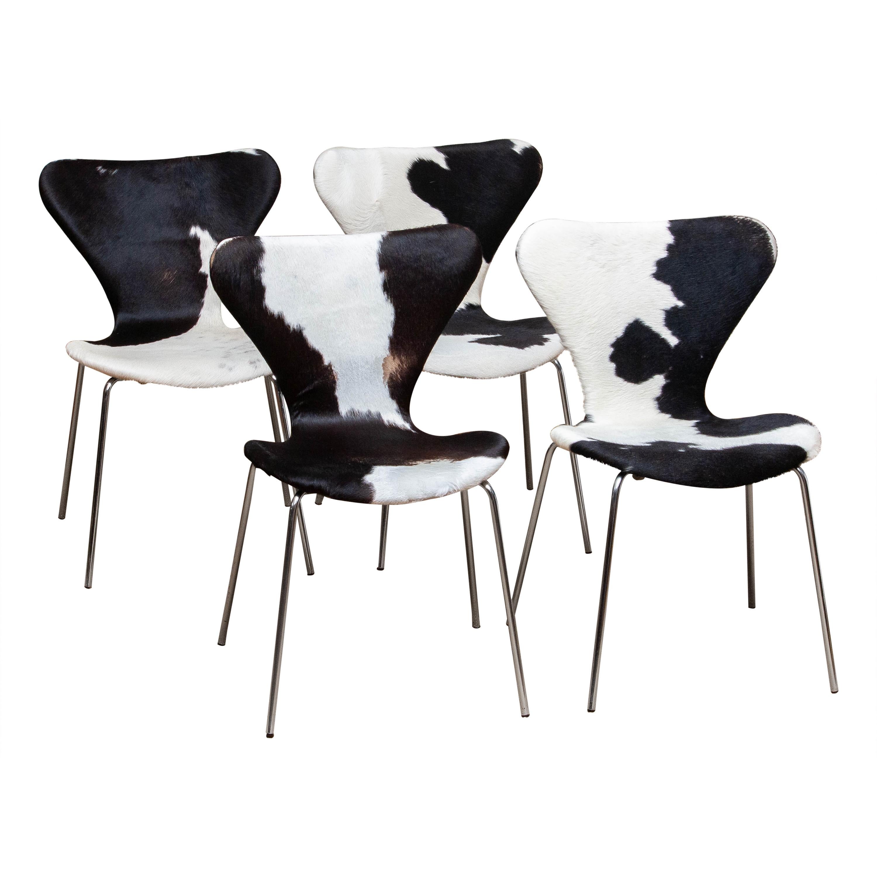 Extremely beautiful set of four dining chairs (Model 3107) by Arne Jacobsen and Fritz Hansen.
These chairs have a cowhide fur seating and backrest on a chrome frame.
They are in a very nice and original condition.
Period 1970s.

 