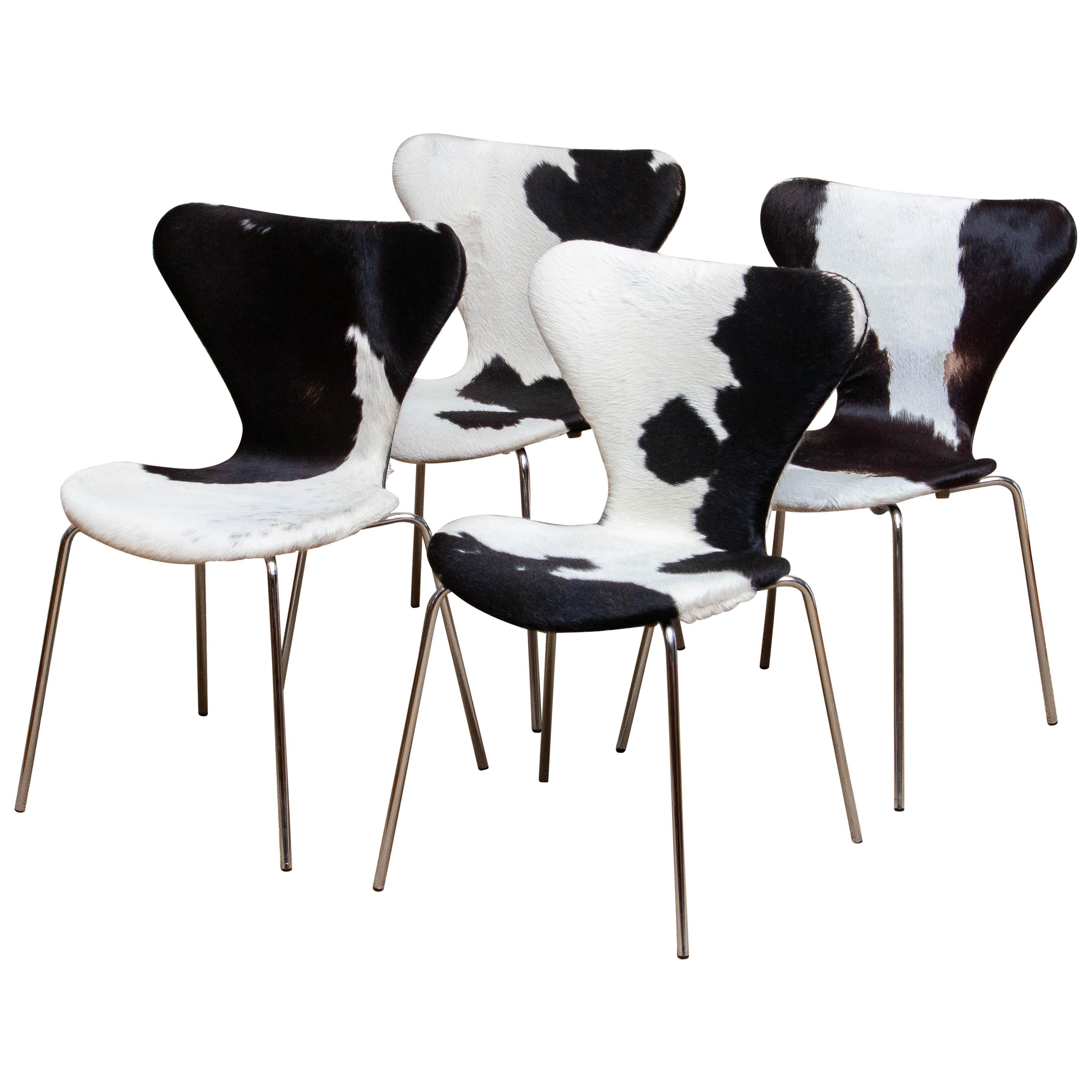 Extremely beautiful set of four dining chairs (model 3107) by Arne Jacobsen and Fritz Hansen.
These chairs have a cowhide fur seating and backrest on a chrome frame.
They are in a very nice and original condition.
Period 1970s.

  