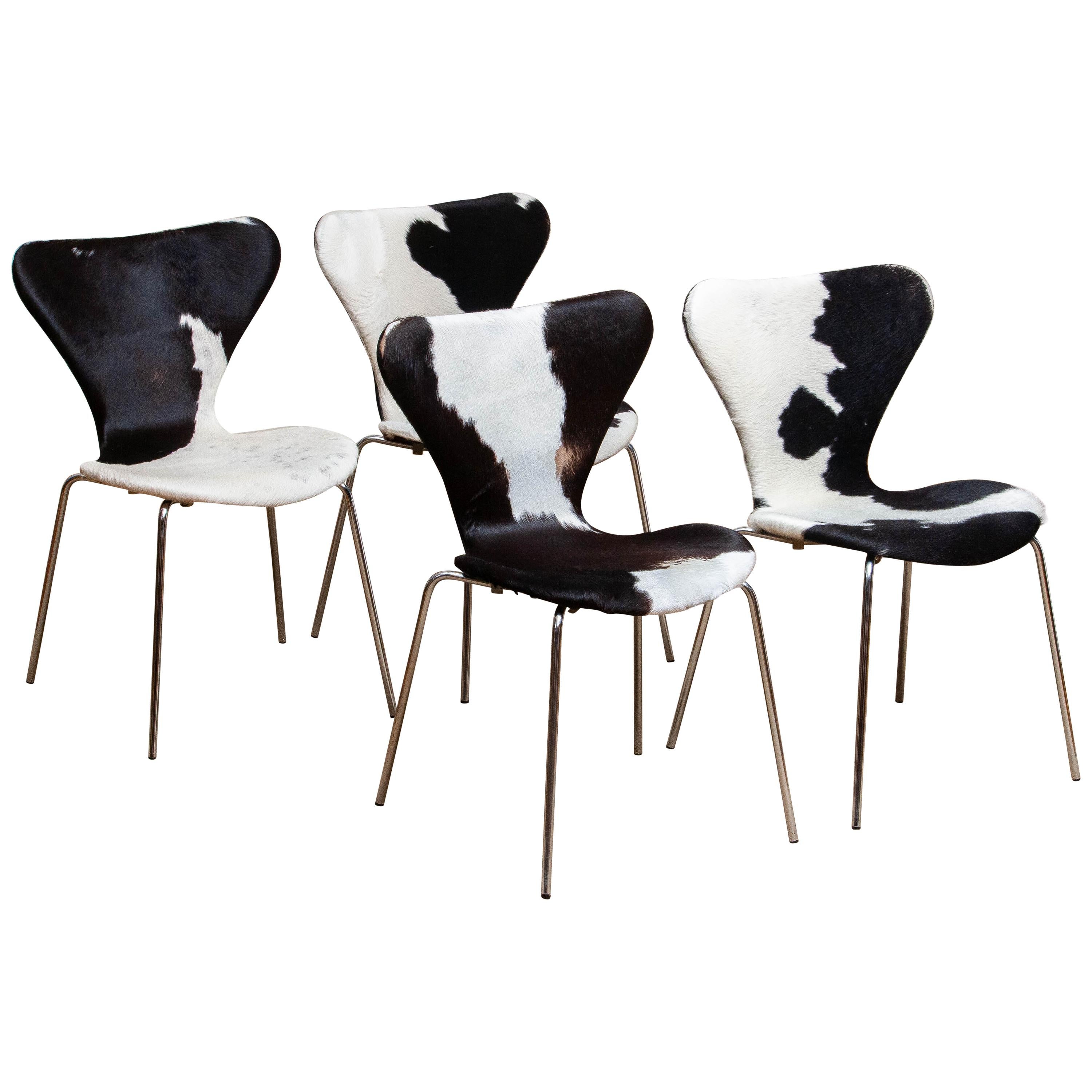 Extremely beautiful set of four dining chairs (model 3107) by Arne Jacobsen and Fritz Hansen.
These chairs have a cowhide fur seating and backrest on a chrome frame.
They are in a very nice and original condition.
Period 1970s.

 