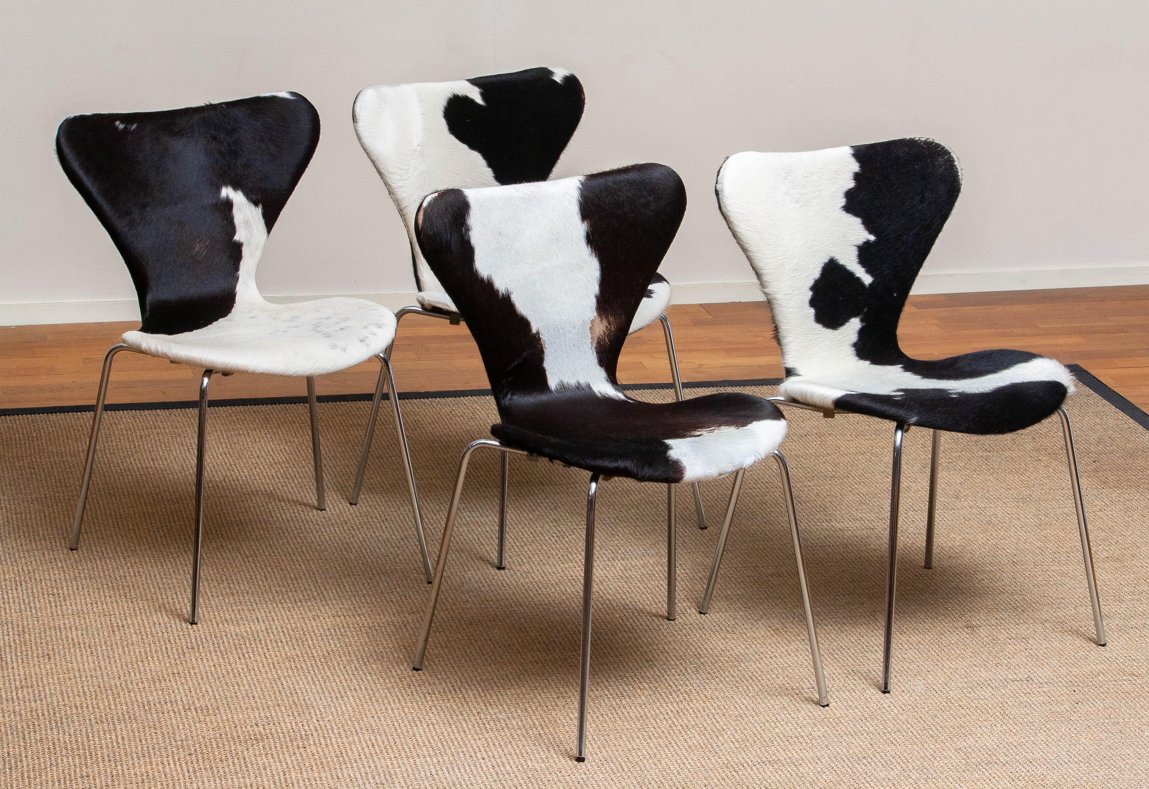 Mid-Century Modern 1970s, Four Cowhide Fur Dining Chairs by Arne Jacobsen & Fritz Hansen Model 3107