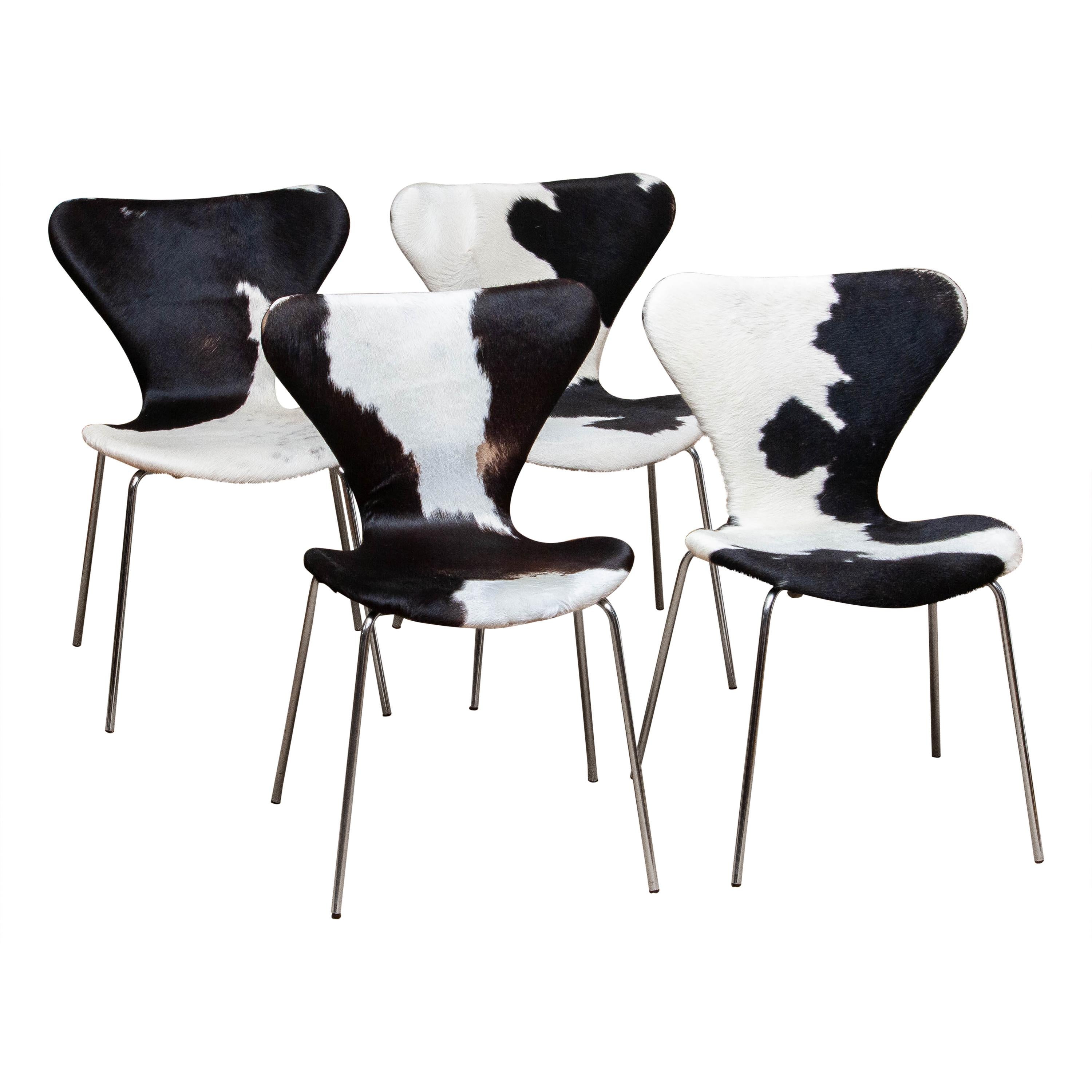 Mid-Century Modern 1970s, Four Cowhide Fur Dining Chairs by Arne Jacobsen & Fritz Hansen Model 3107