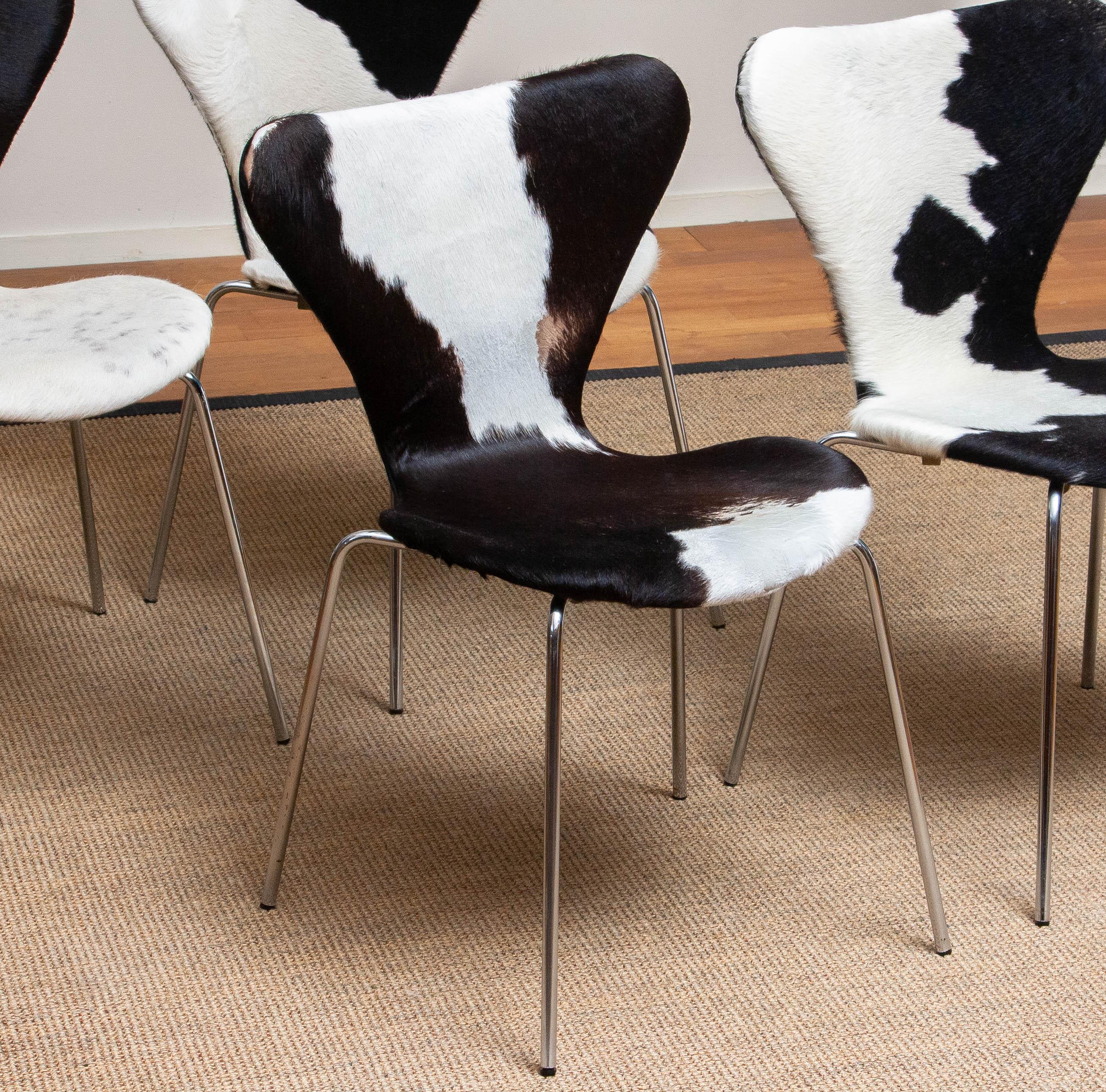Danish 1970s, Four Cowhide Fur Dining Chairs by Arne Jacobsen & Fritz Hansen Model 3107