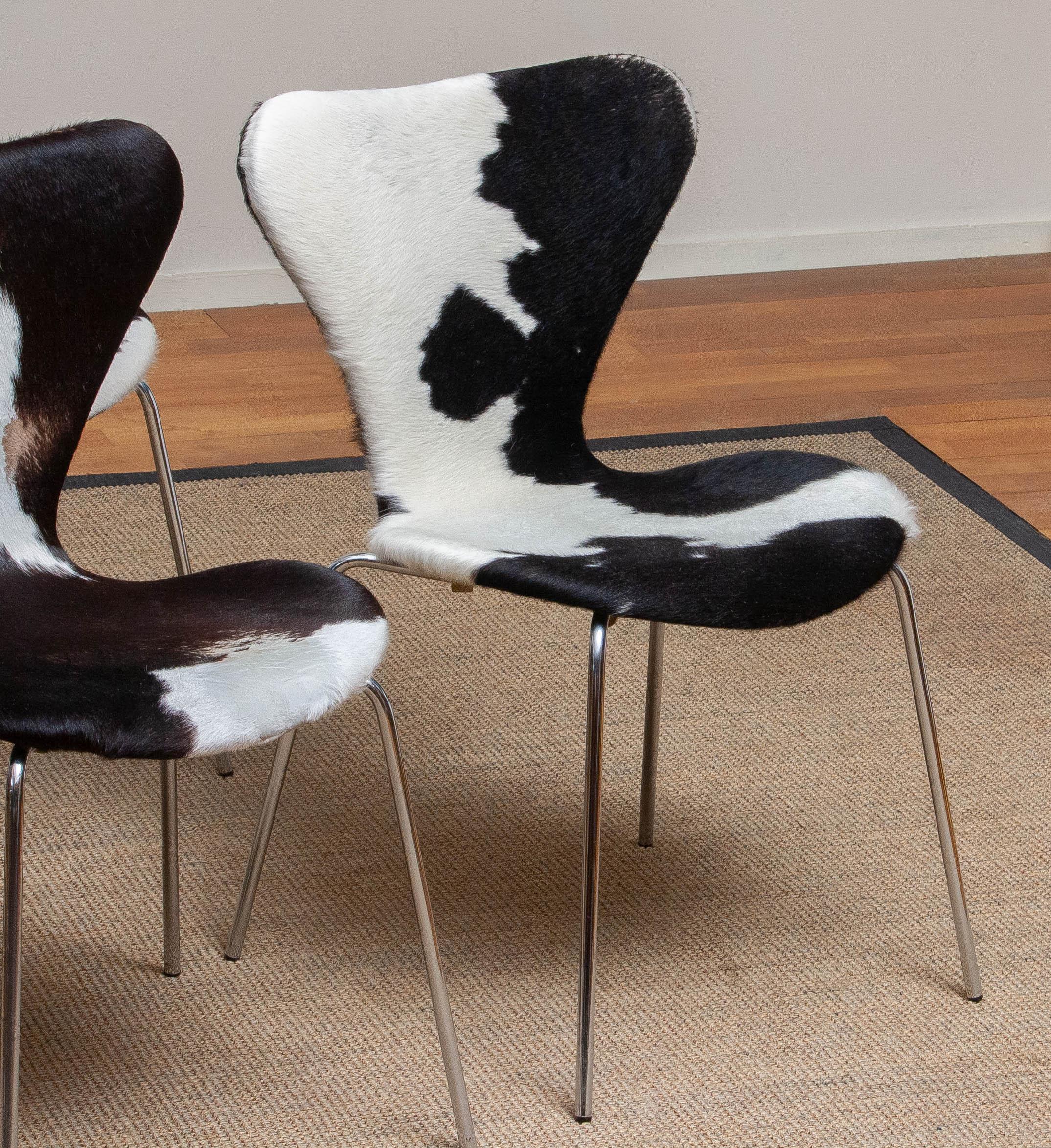 Late 20th Century 1970s, Four Cowhide Fur Dining Chairs by Arne Jacobsen & Fritz Hansen Model 3107