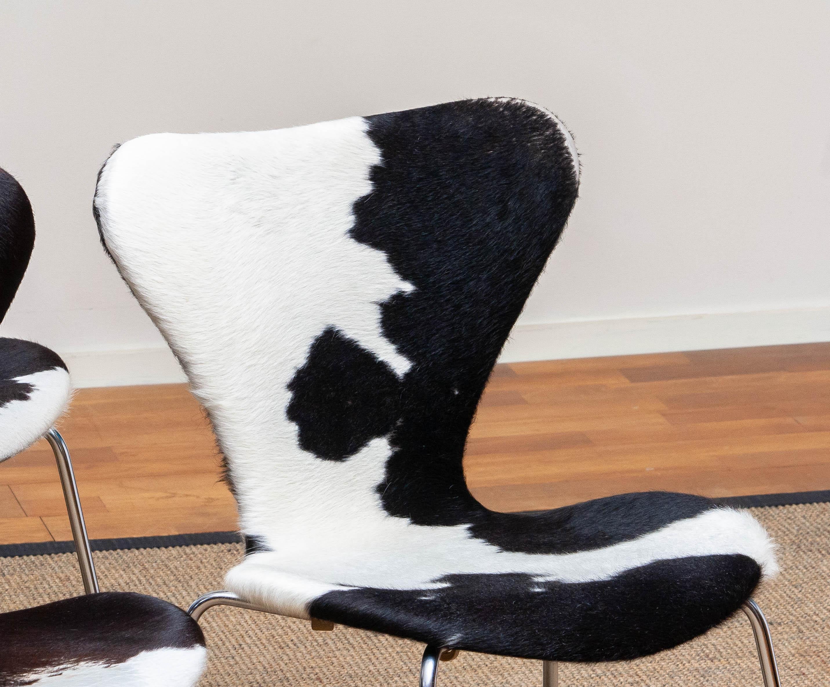 1970s, Four Cowhide Fur Dining Chairs by Arne Jacobsen & Fritz Hansen Model 3107 1