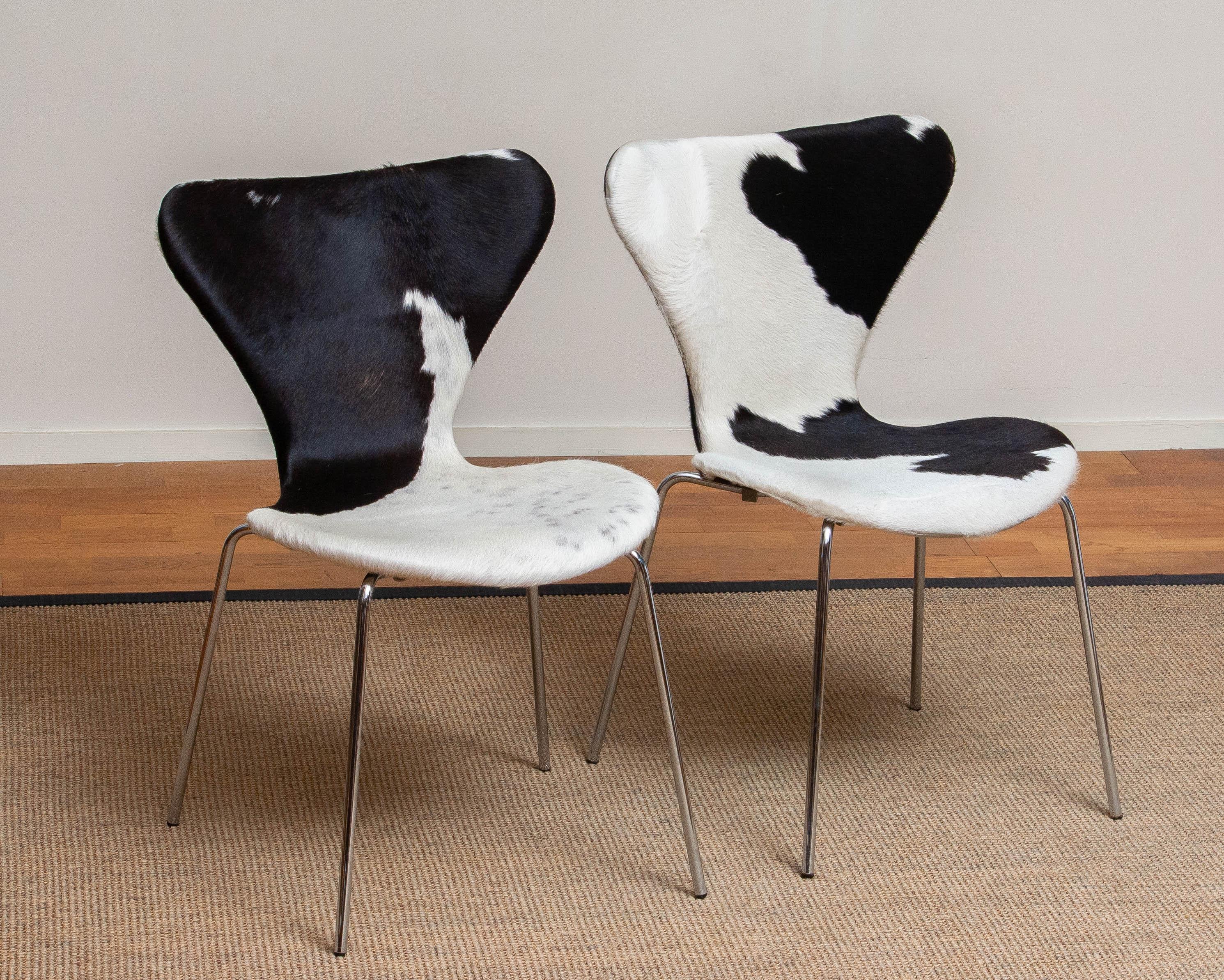 1970s, Four Cowhide Fur Dining Chairs by Arne Jacobsen & Fritz Hansen Model 3107 In Good Condition In Silvolde, Gelderland