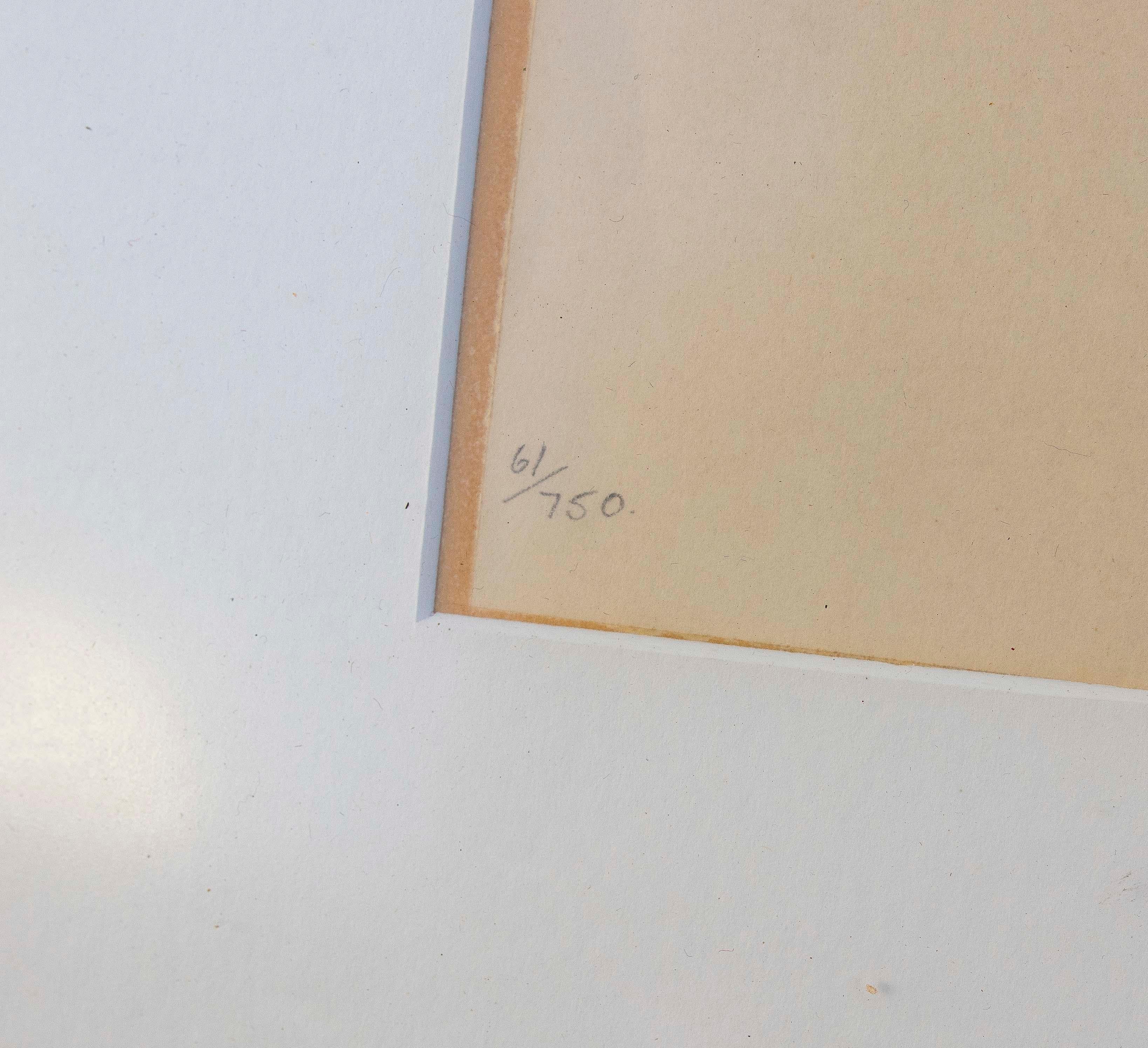 Gerahmtes Gemälde mit grünem Papagei-Gravurtechnik auf Leinwand, signiert, 1970er Jahre. (Europäisch) im Angebot