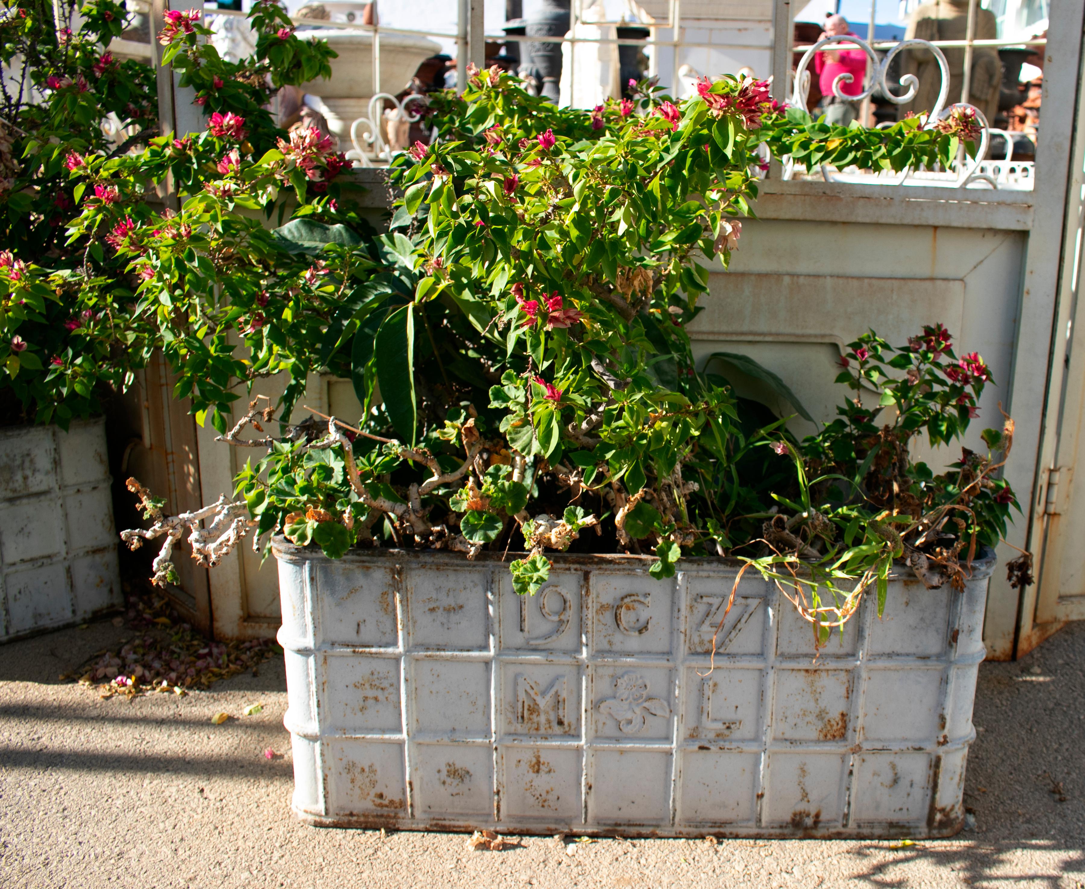 1970s French pair of cast iron rectangular planters.