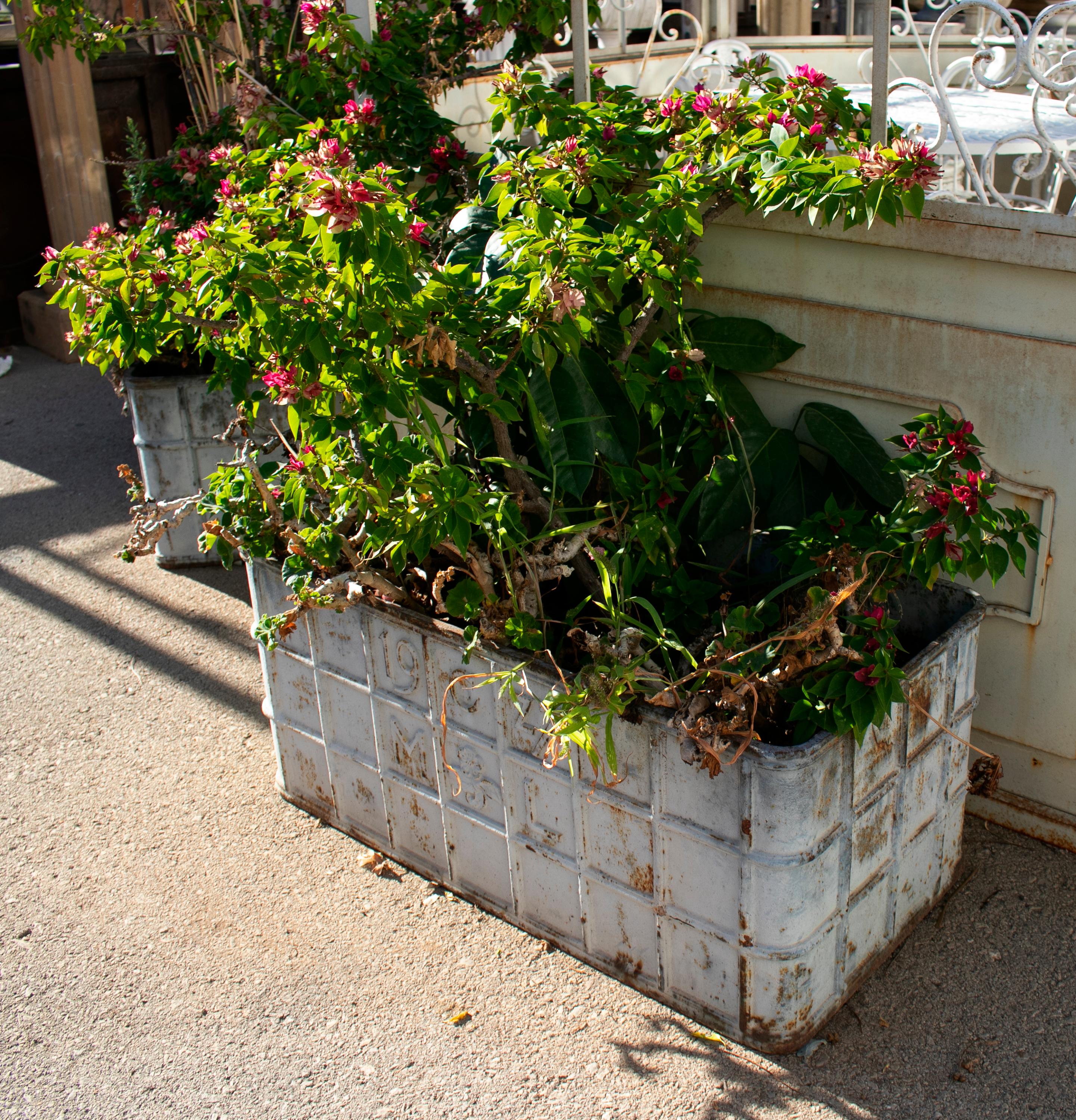 1970s French Pair of Cast Iron Rectangular Planters In Good Condition In Marbella, ES