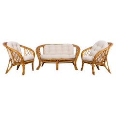 1970s French Rattan Sofa Set, Set of 3