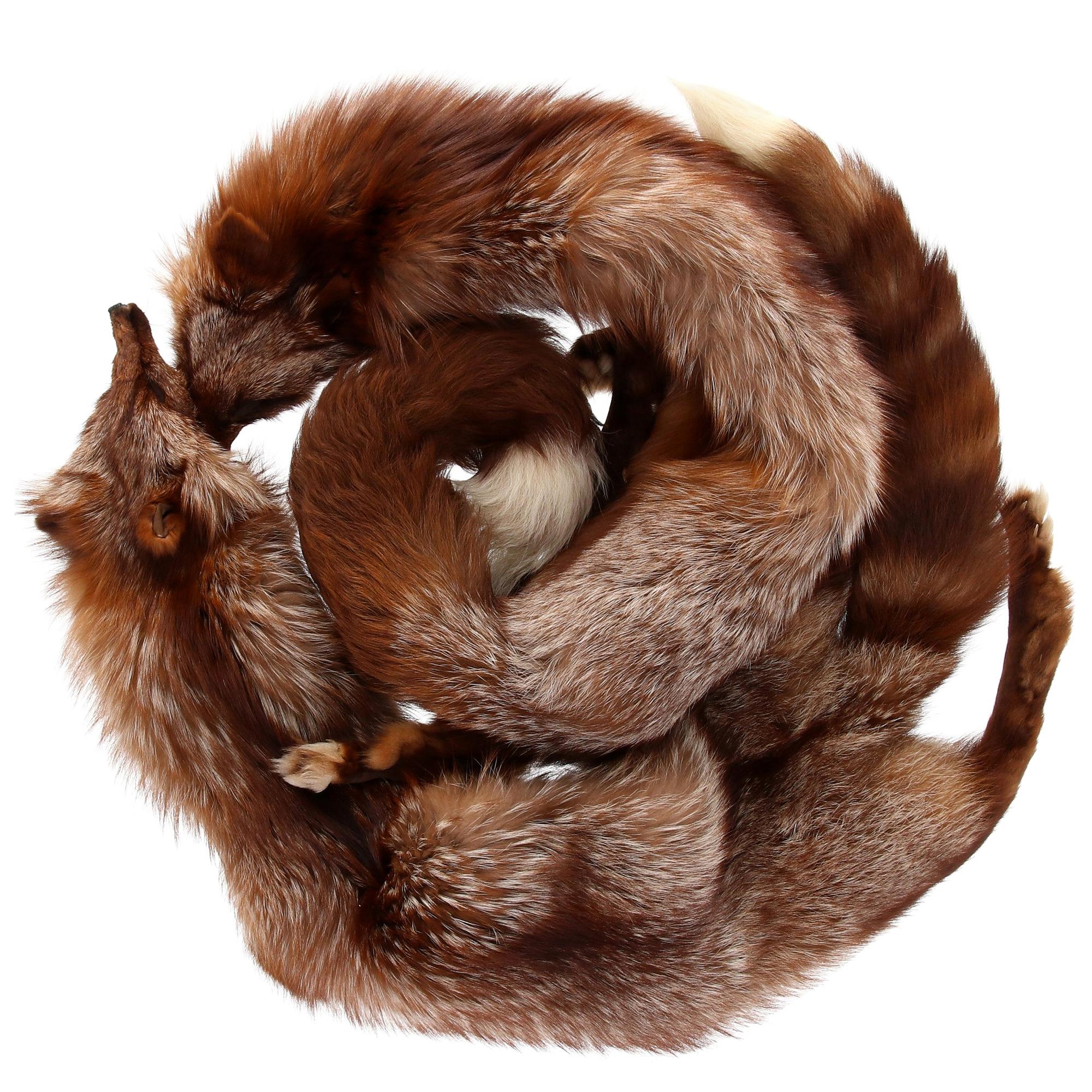 1970s G. Balzani Brown Fox Fur Scarf