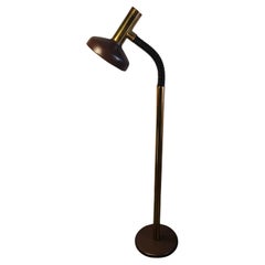 Vintage 1970s goose neck floor lamp by Egon Hillebrand