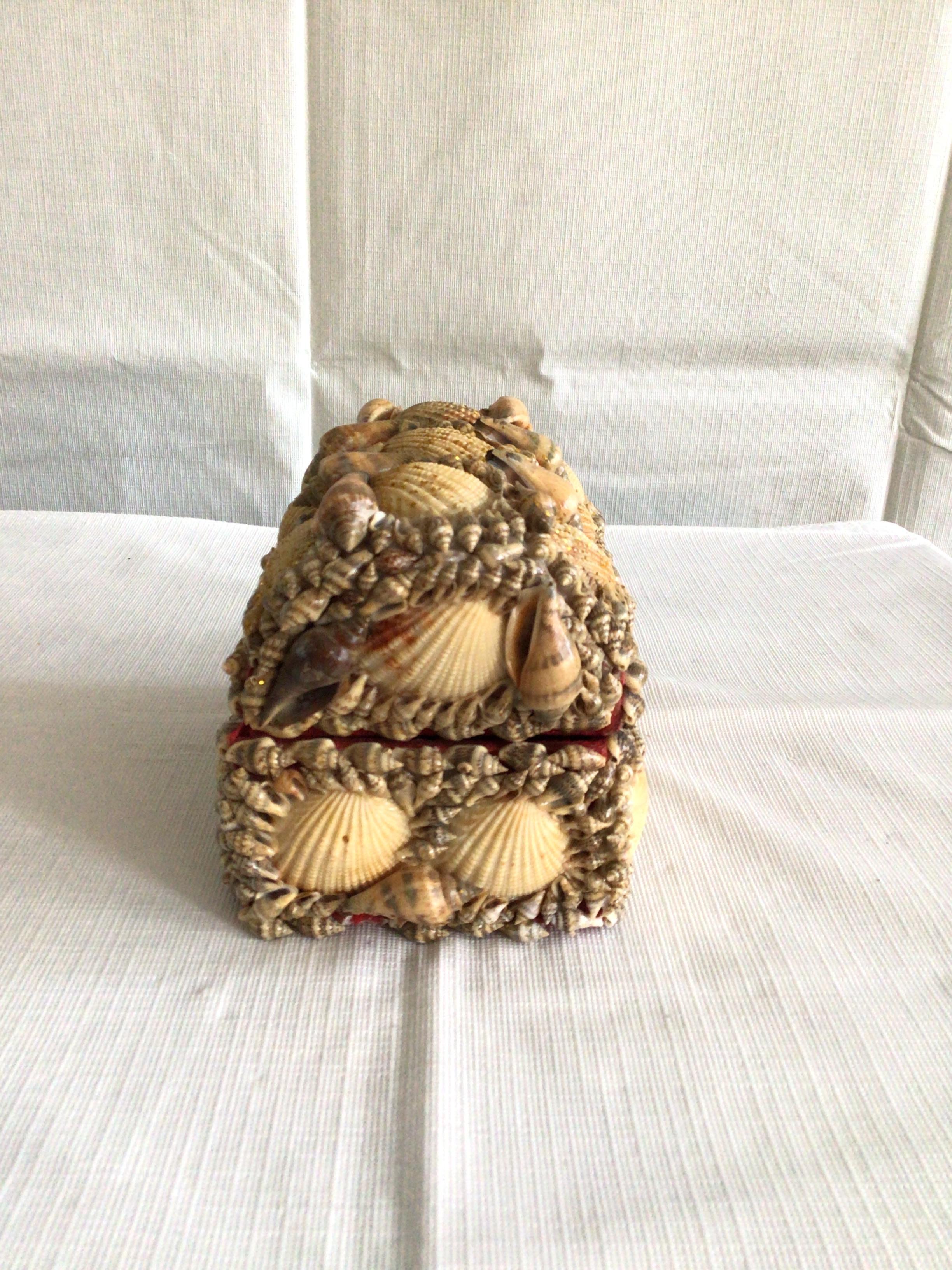 Late 20th Century 1970s Handmade Domed Top Shell Box For Sale