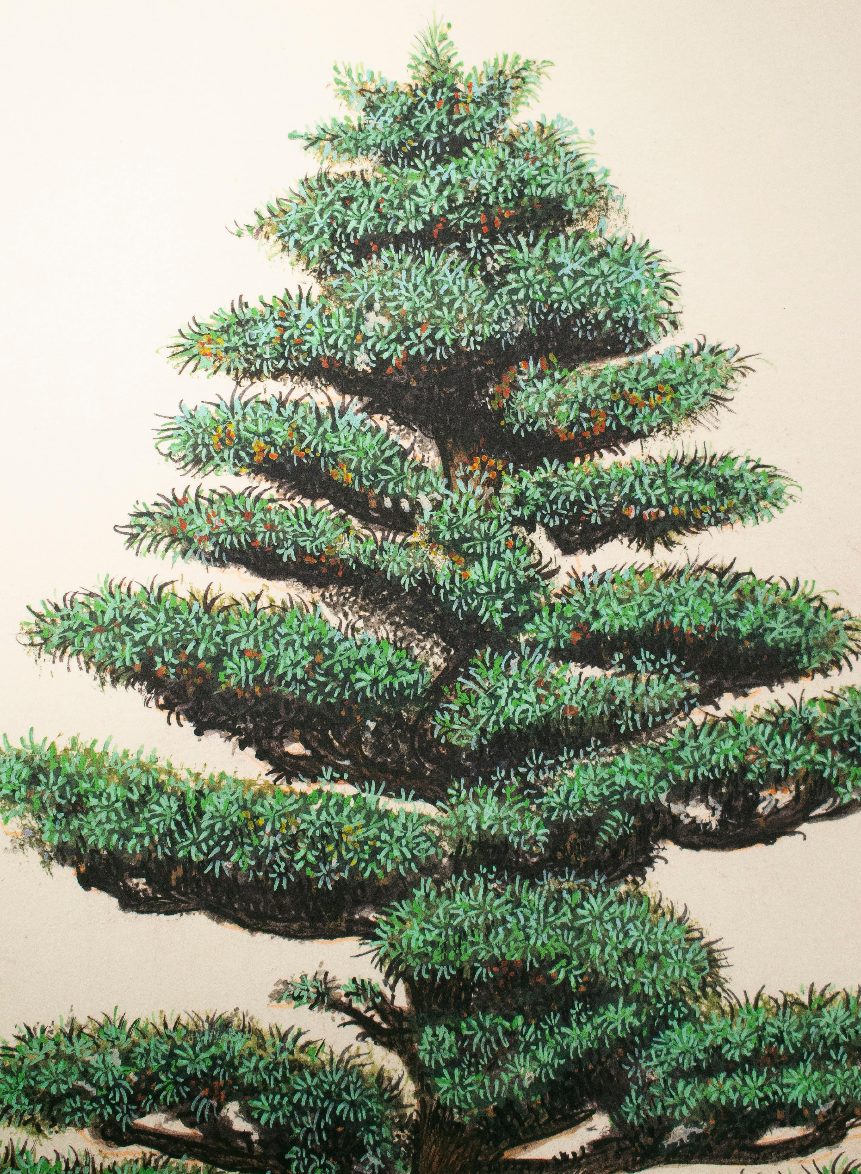 Hand-Painted 1970s Indian Bonsai Paper Drawing For Sale
